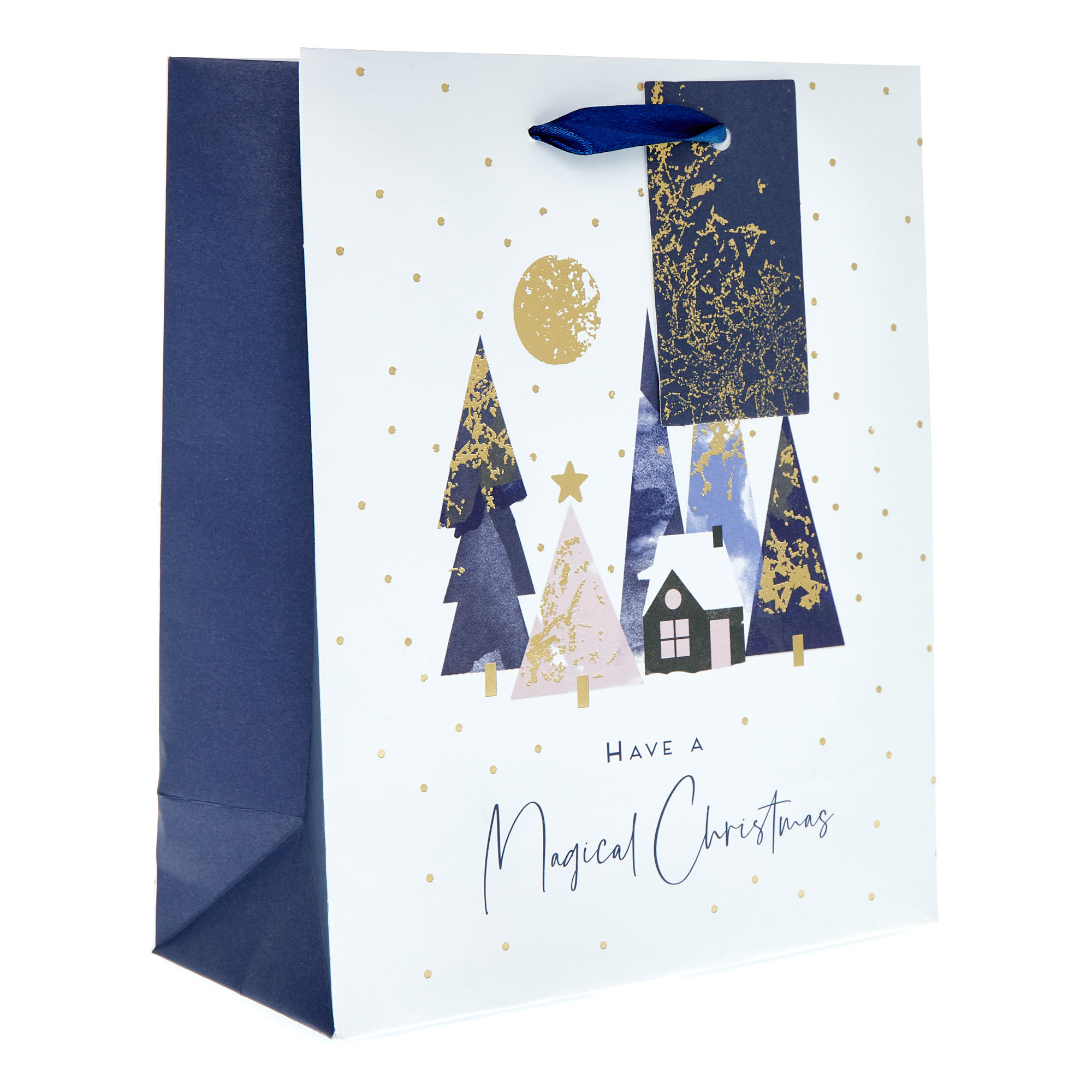 Medium Portrait Have a Magical Christmas Gift Bag