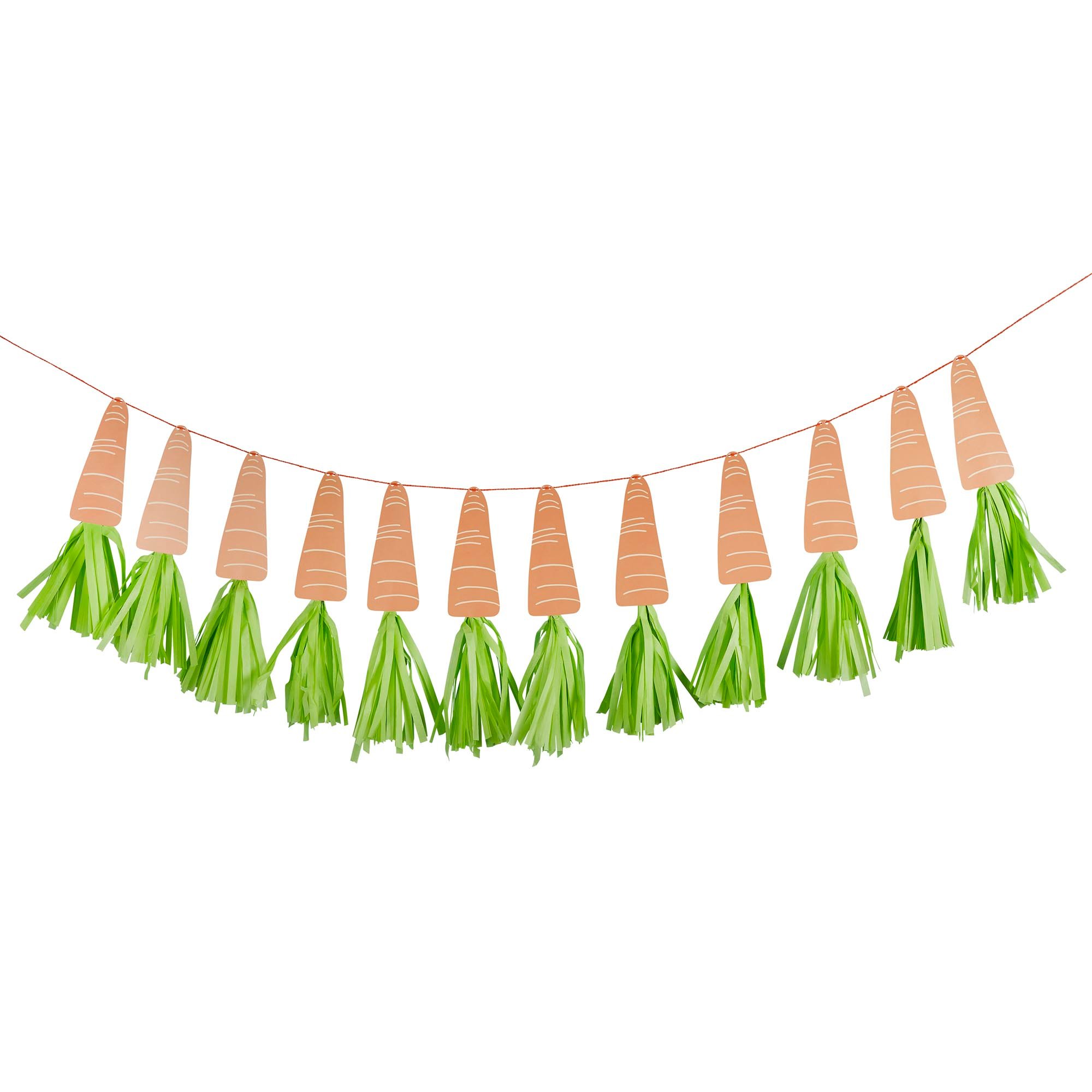 Carrot Tassel Banner 2m