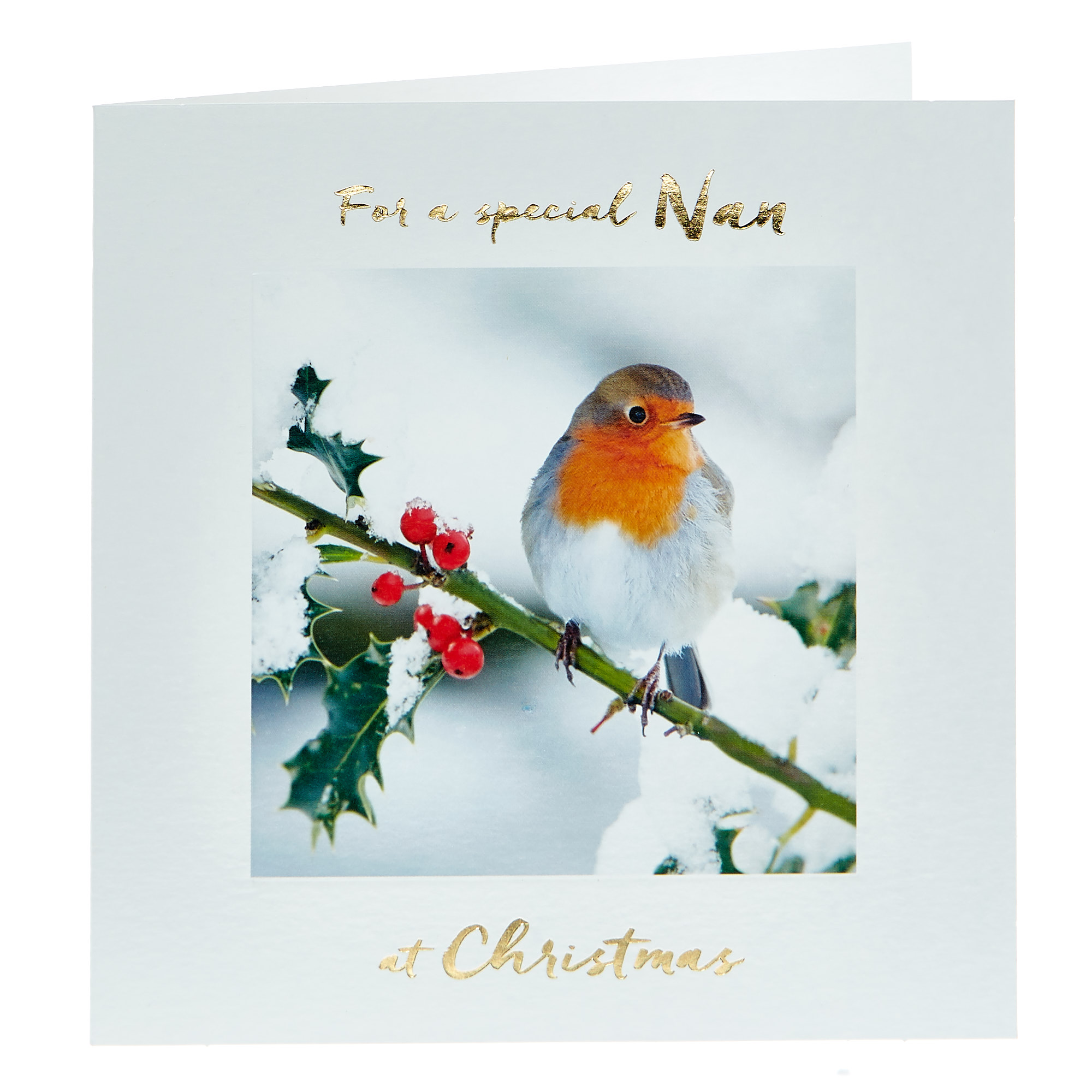 Christmas Card - Special Nan, Robin And Holly