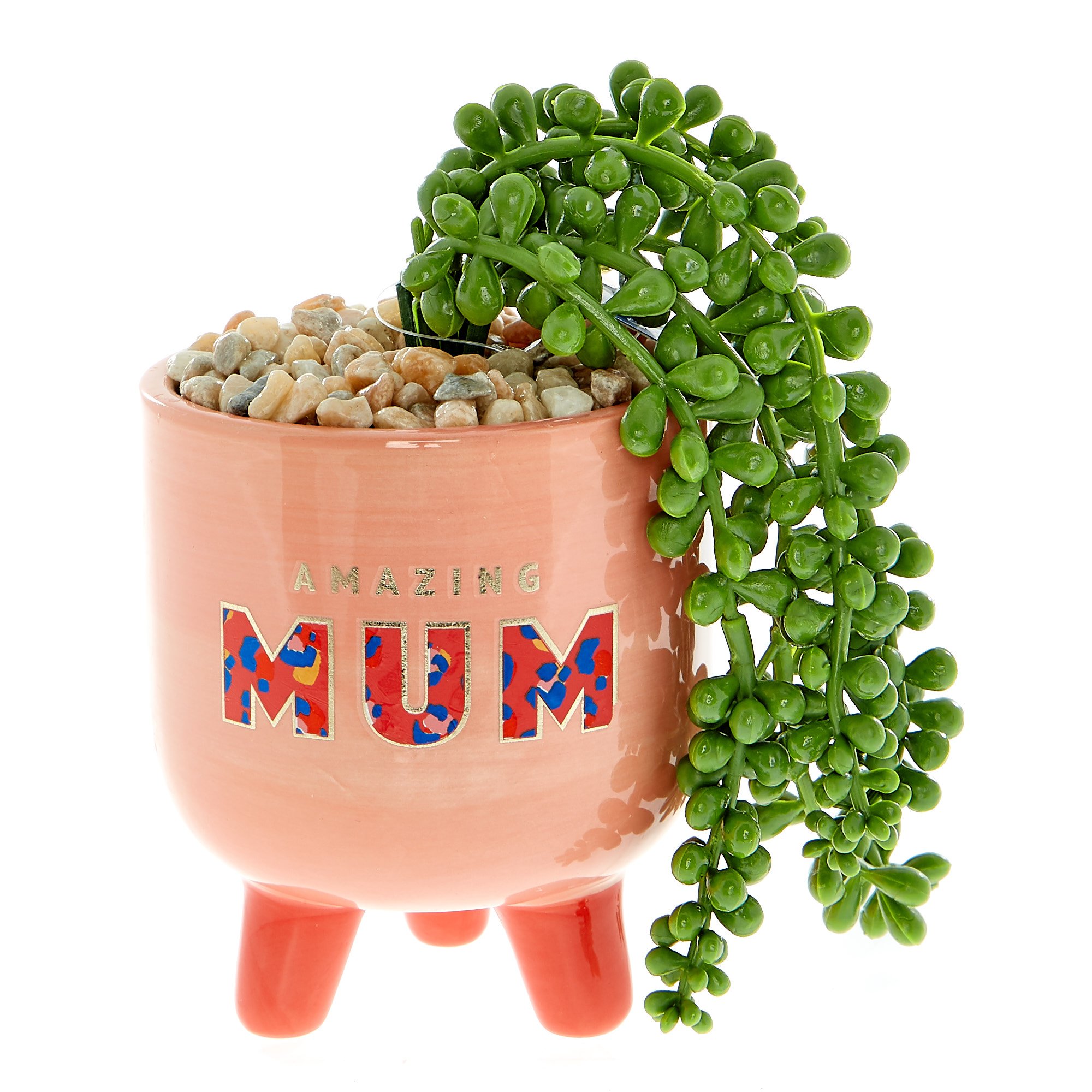 Wild Amazing Mum Planter