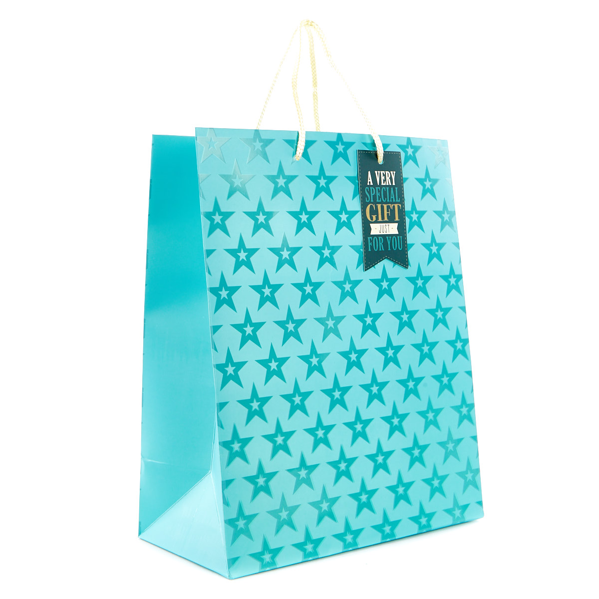 Large Portrait Blue Starry Gift Bag - A Special Gift Just For You