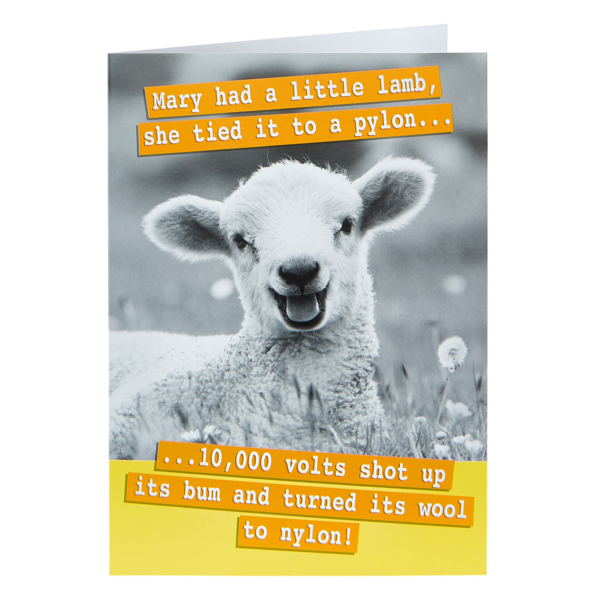 Any Occasion Card - Mary Had A Little Lamb
