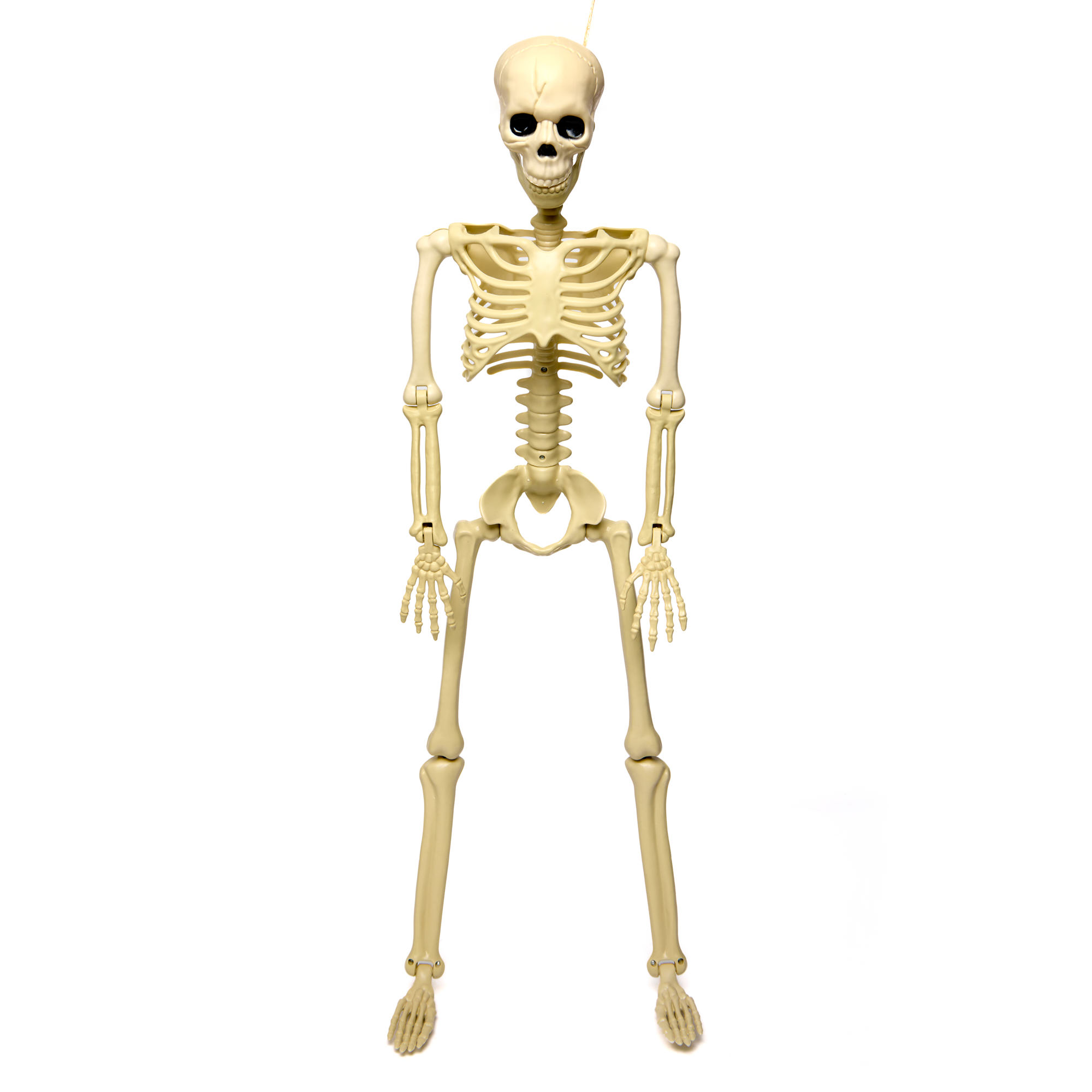 Large Hanging Skeleton Decoration