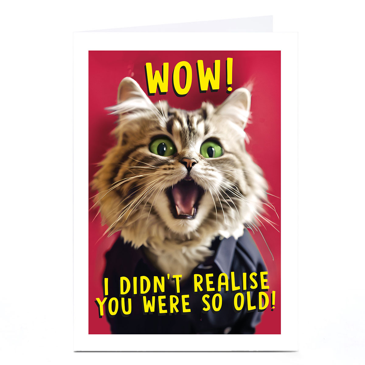 Birthday Card - So Old Shocked Cat