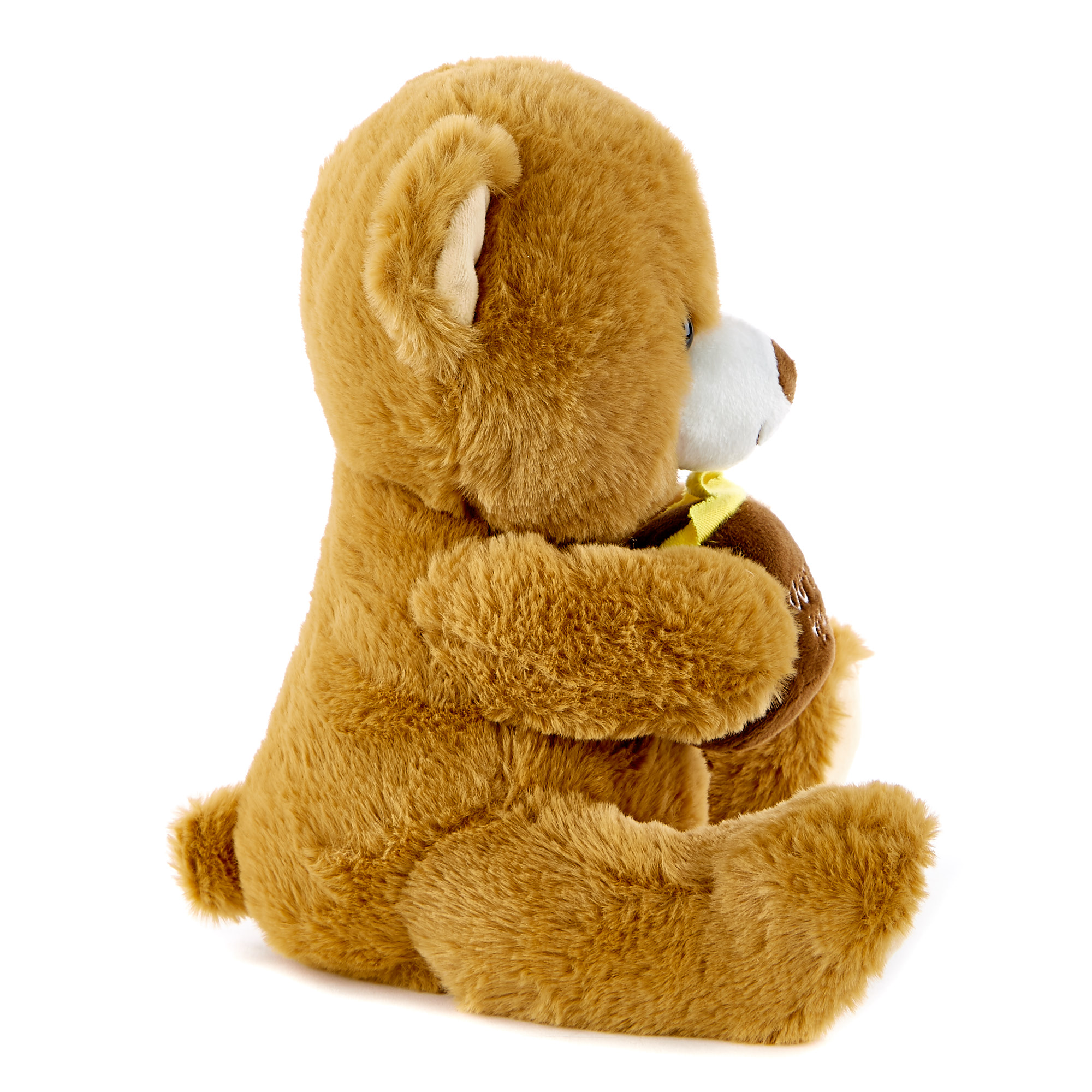 Bear & Honey Pot Valentine's Day Soft Toy