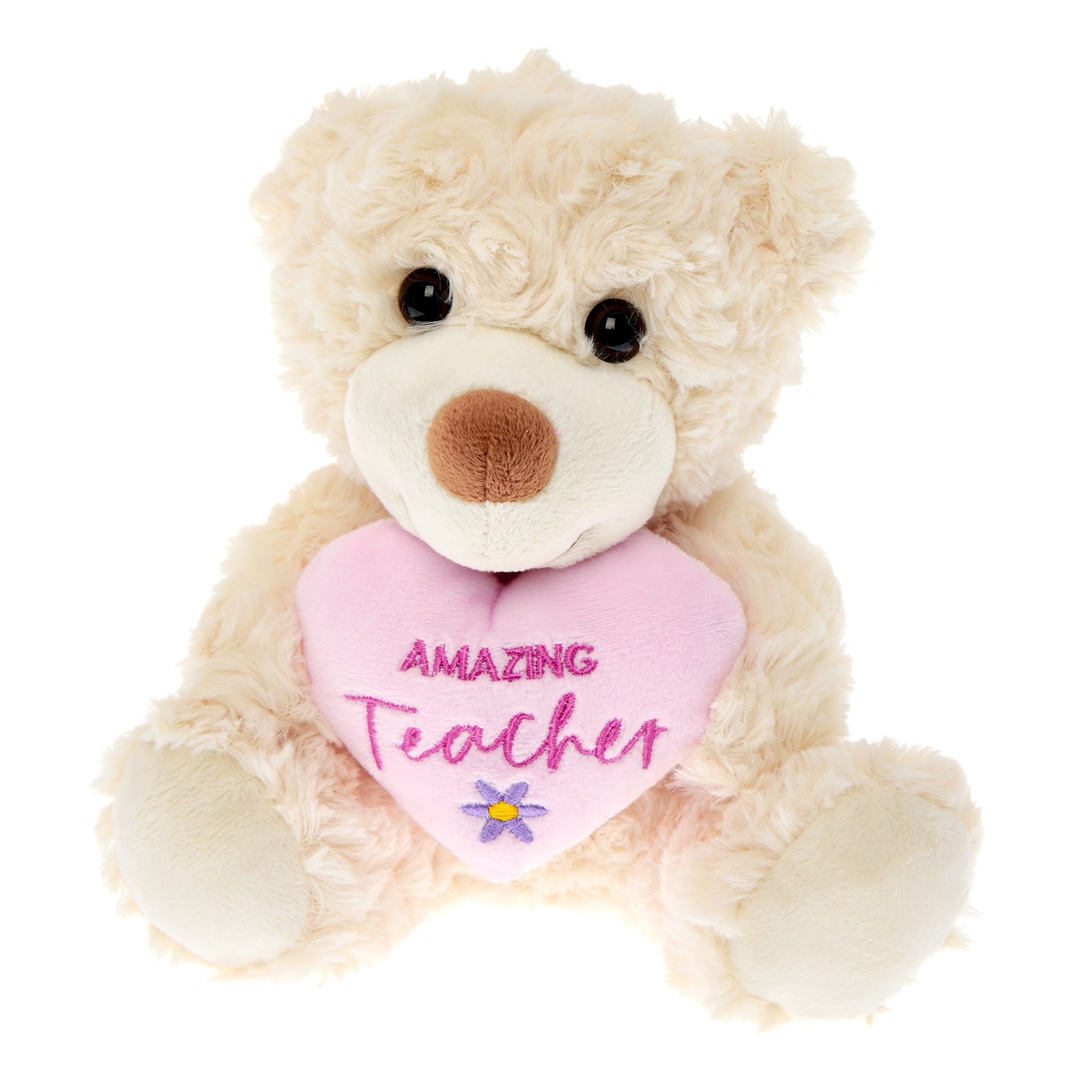 Amazing Teacher Bear Soft Toy