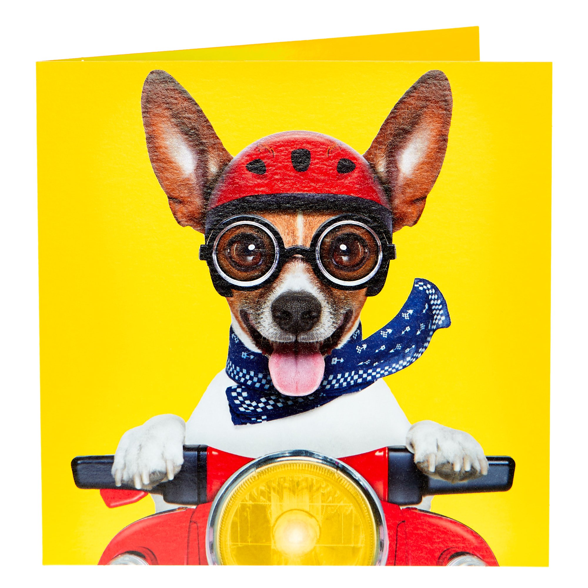 Any Occasion Card - Dog On A Mororbike