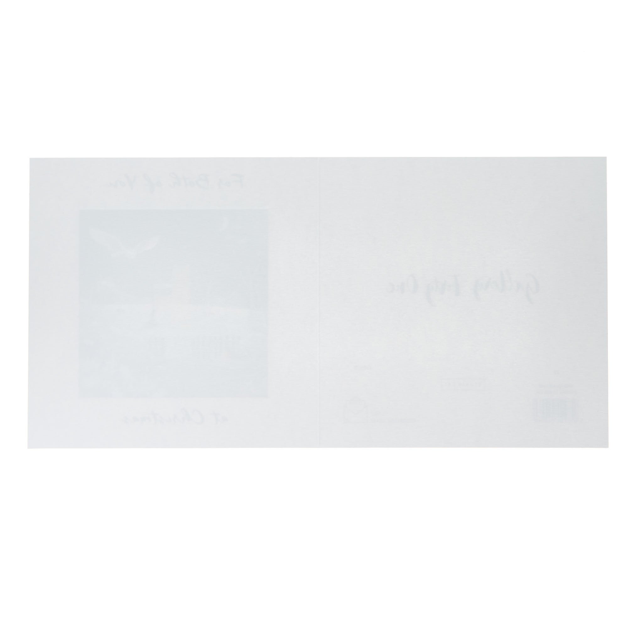 For Both Of You Blank Christmas Card