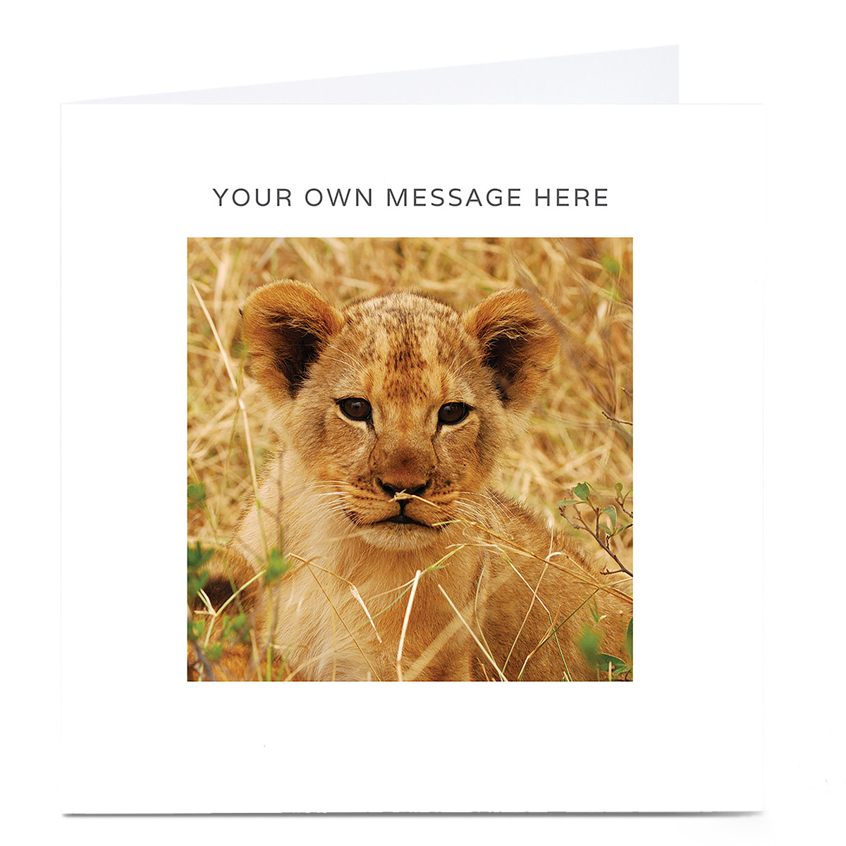 Personalised Card - Lion Cub