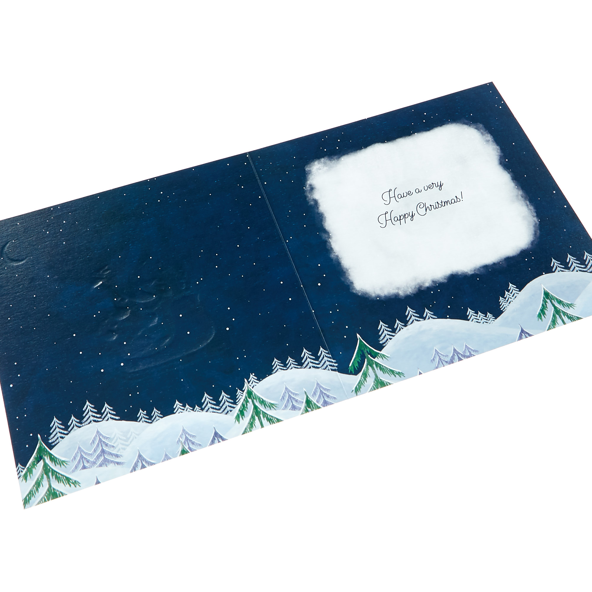 Platinum Collection Christmas Card - To All The Family Sleigh