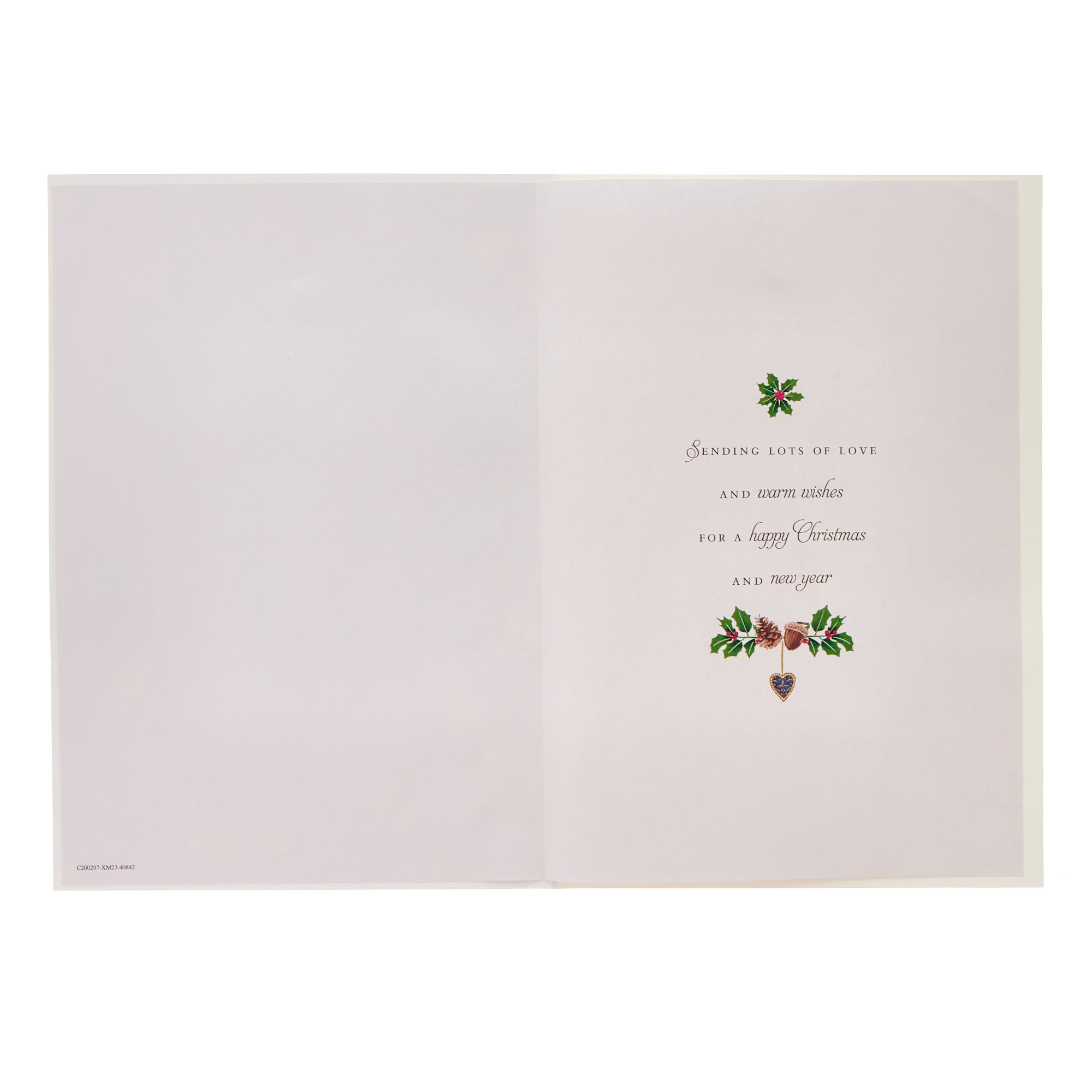 Daughter & Family Who Are Special Christmas Card