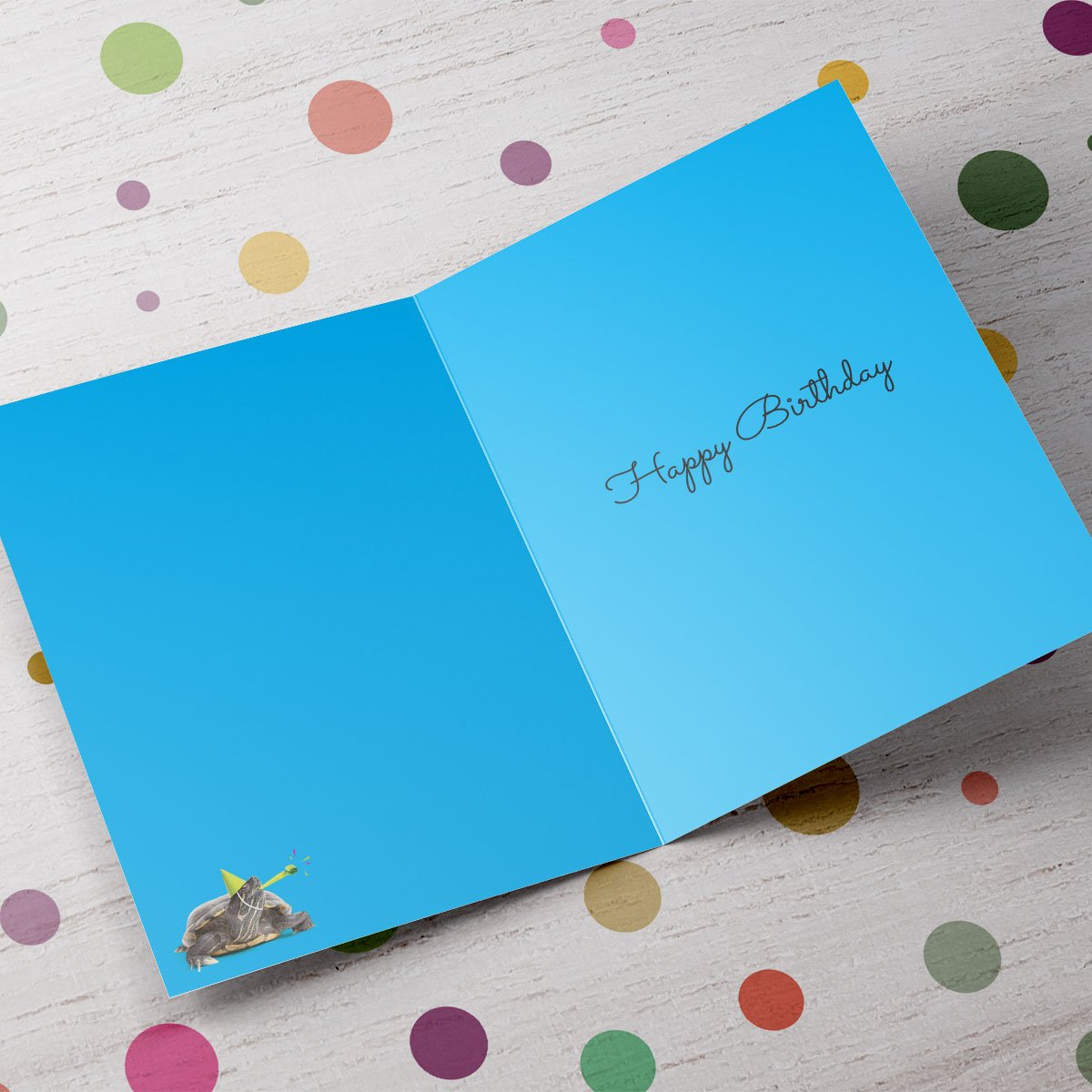 Personalised Birthday Card - Another Year Older Tortoise