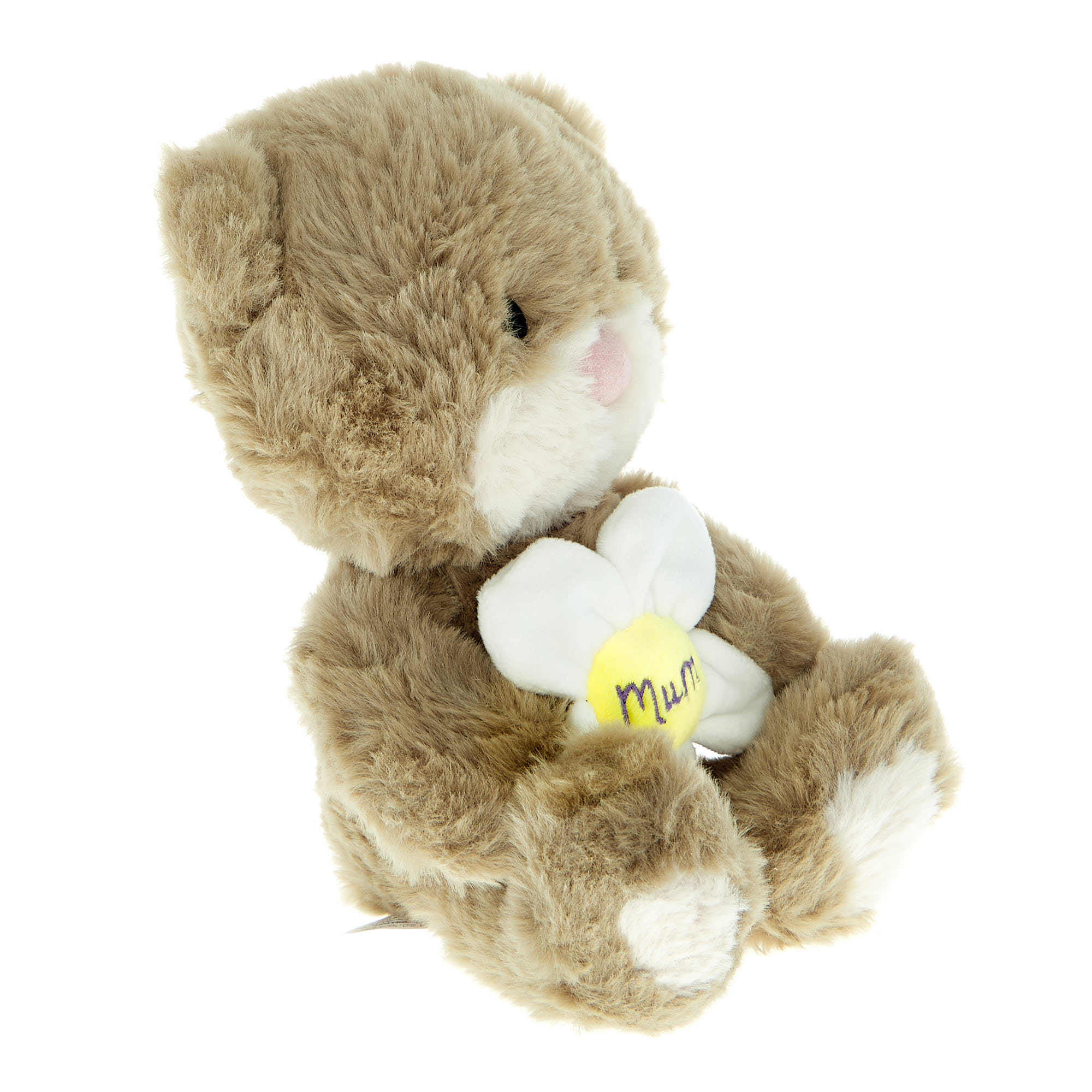 Small Mum Hugs Bear With Flower