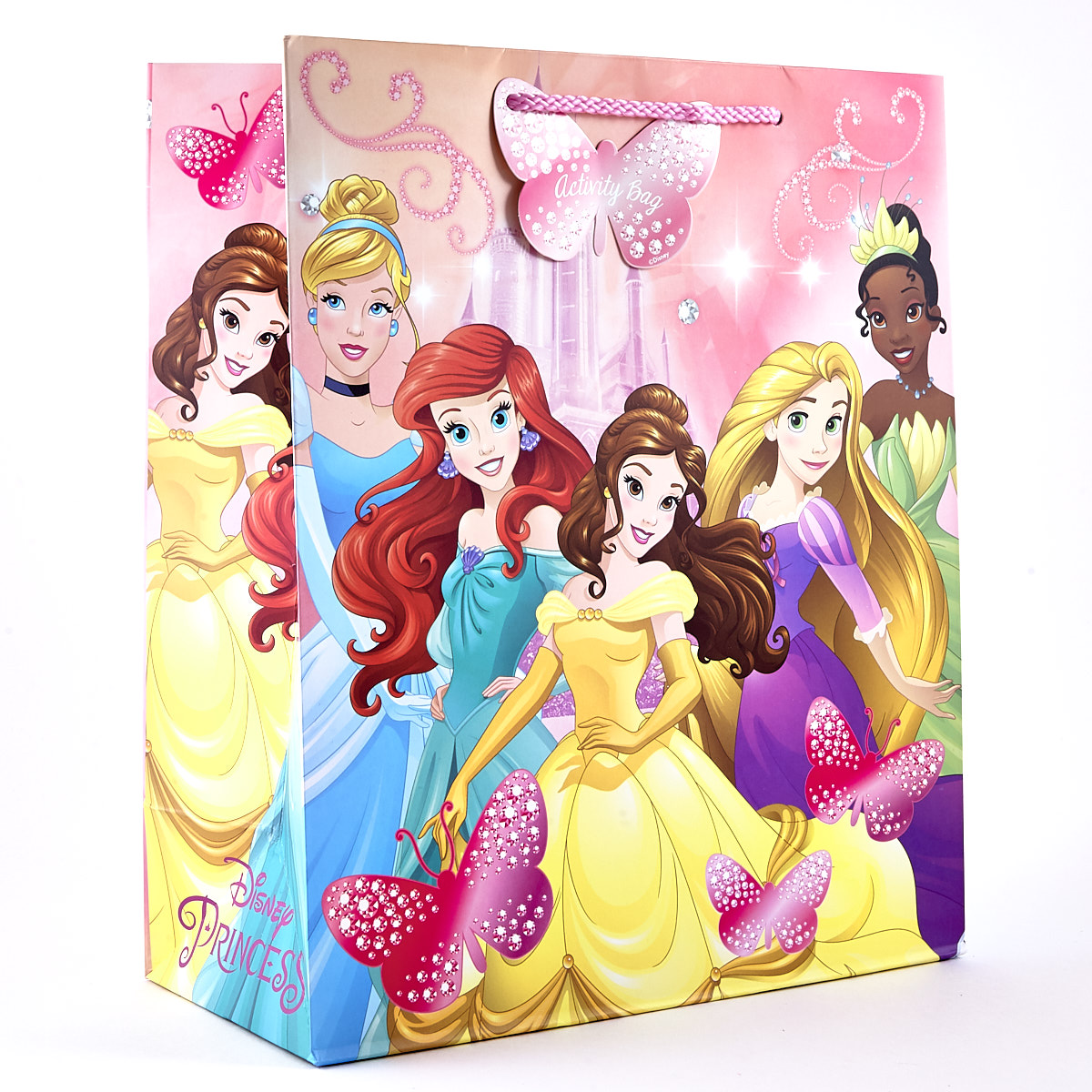 Large Portrait Disney Princess Activity Gift Bag