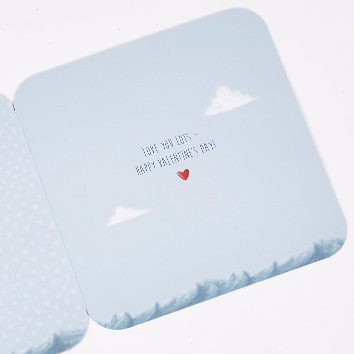 Valentine's Day Card - Boutique Boyfriend Raccoon Boat