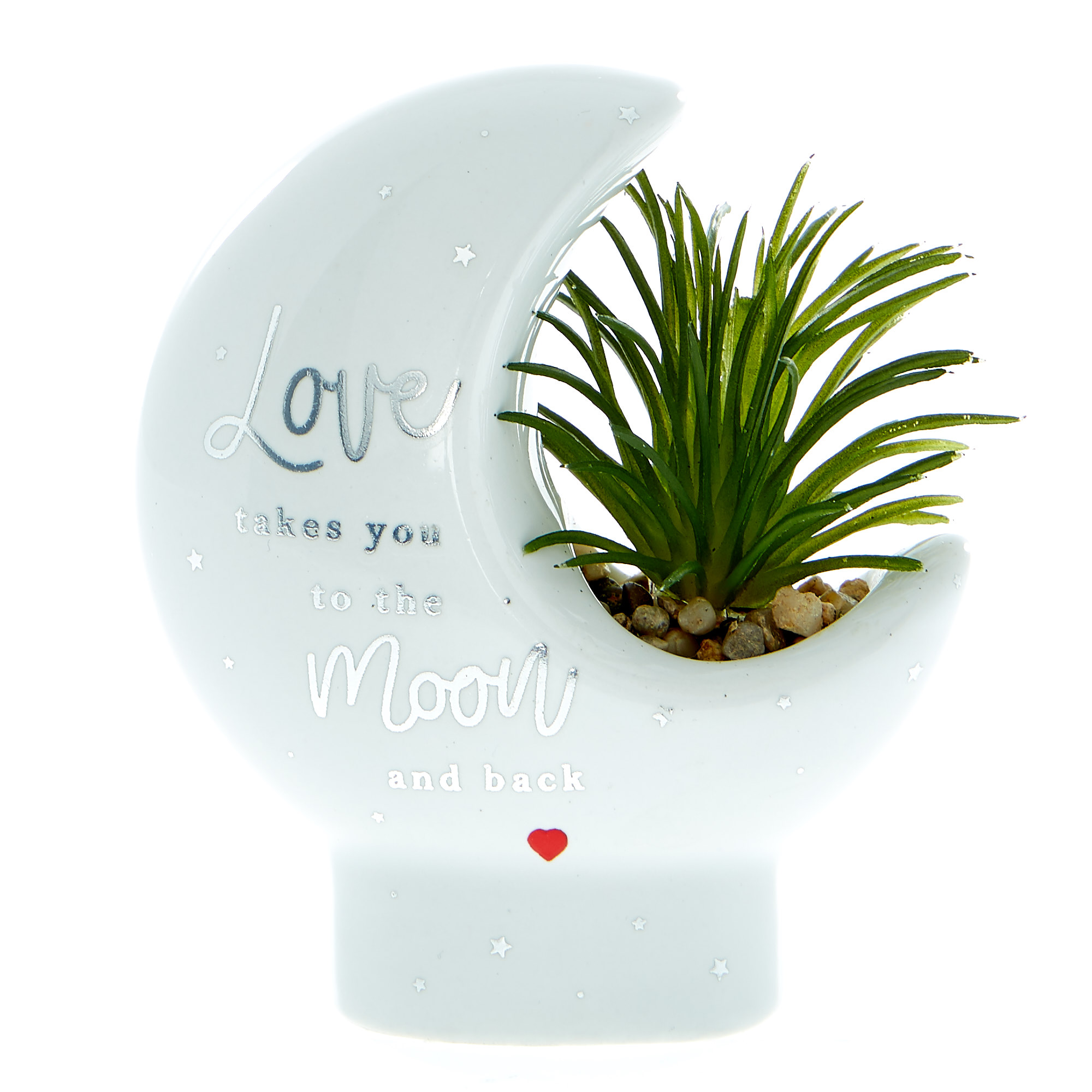 Love Takes You To The Moon Mini Planter