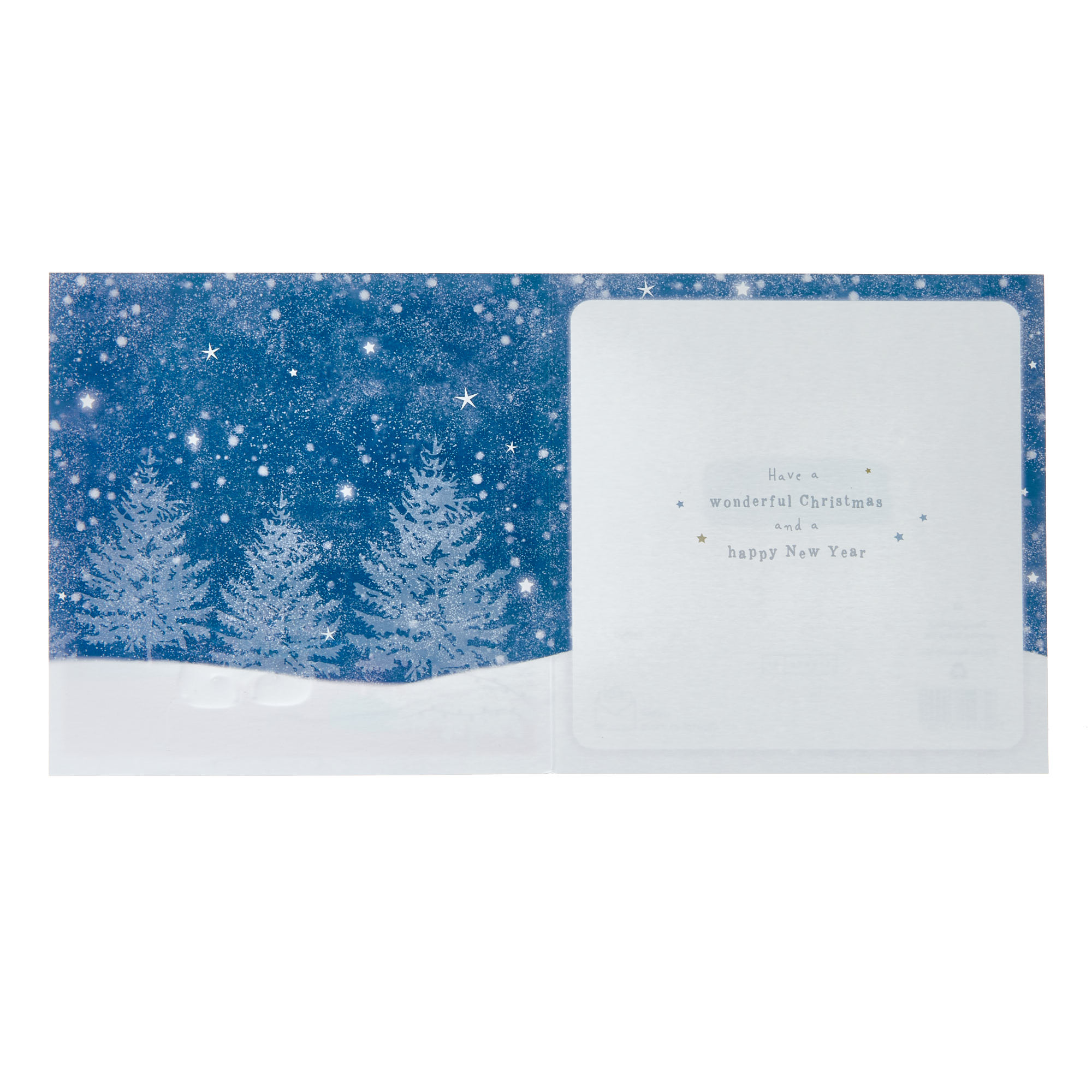 Brother & Fiancee Mice Christmas Card