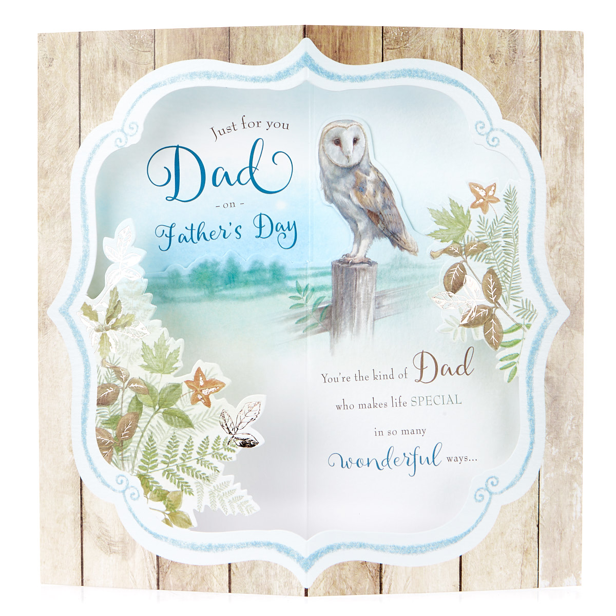 Exquisite Collection 3D Father's Day Card - Just For You Dad, Owl