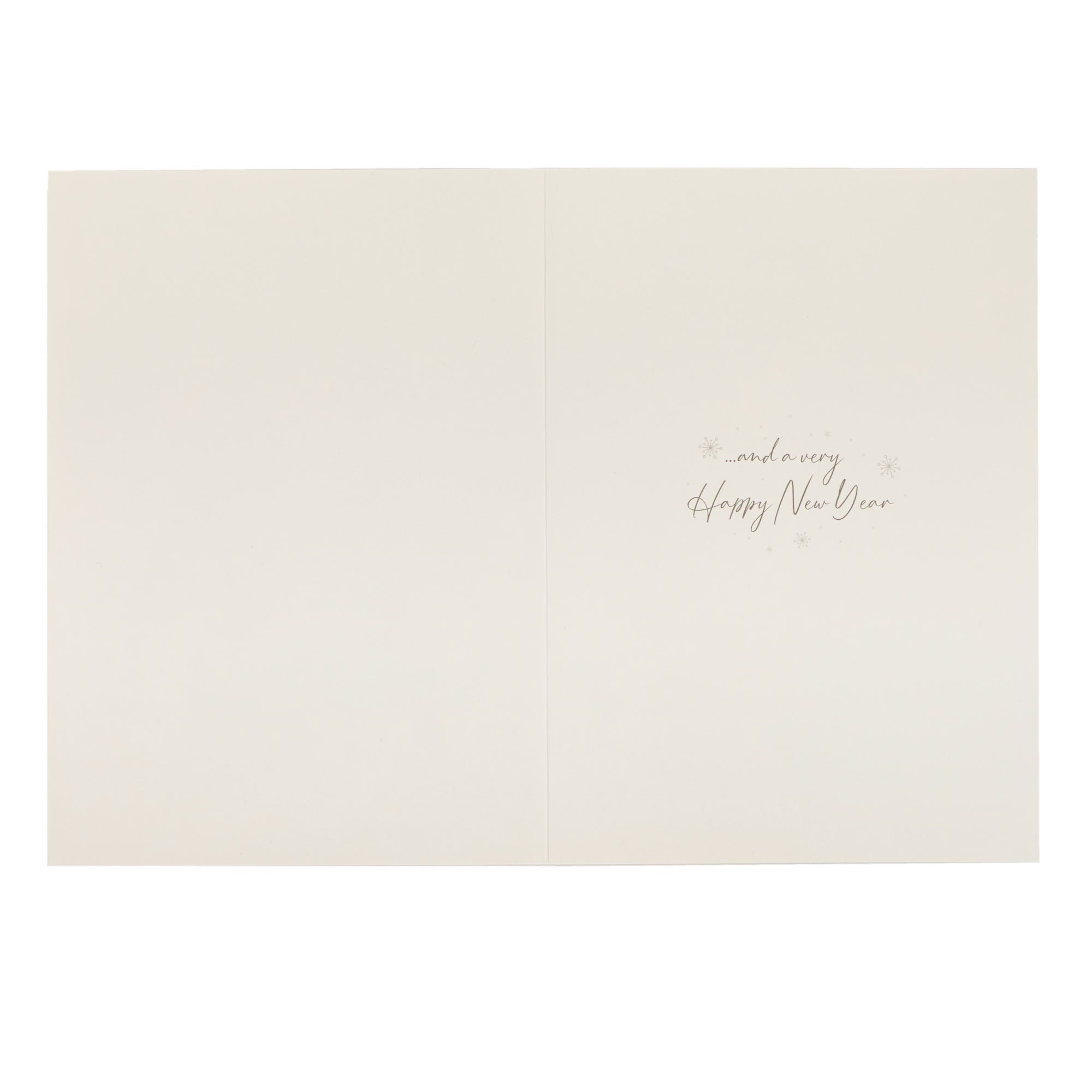 10 Portrait Santa Charity Christmas Cards