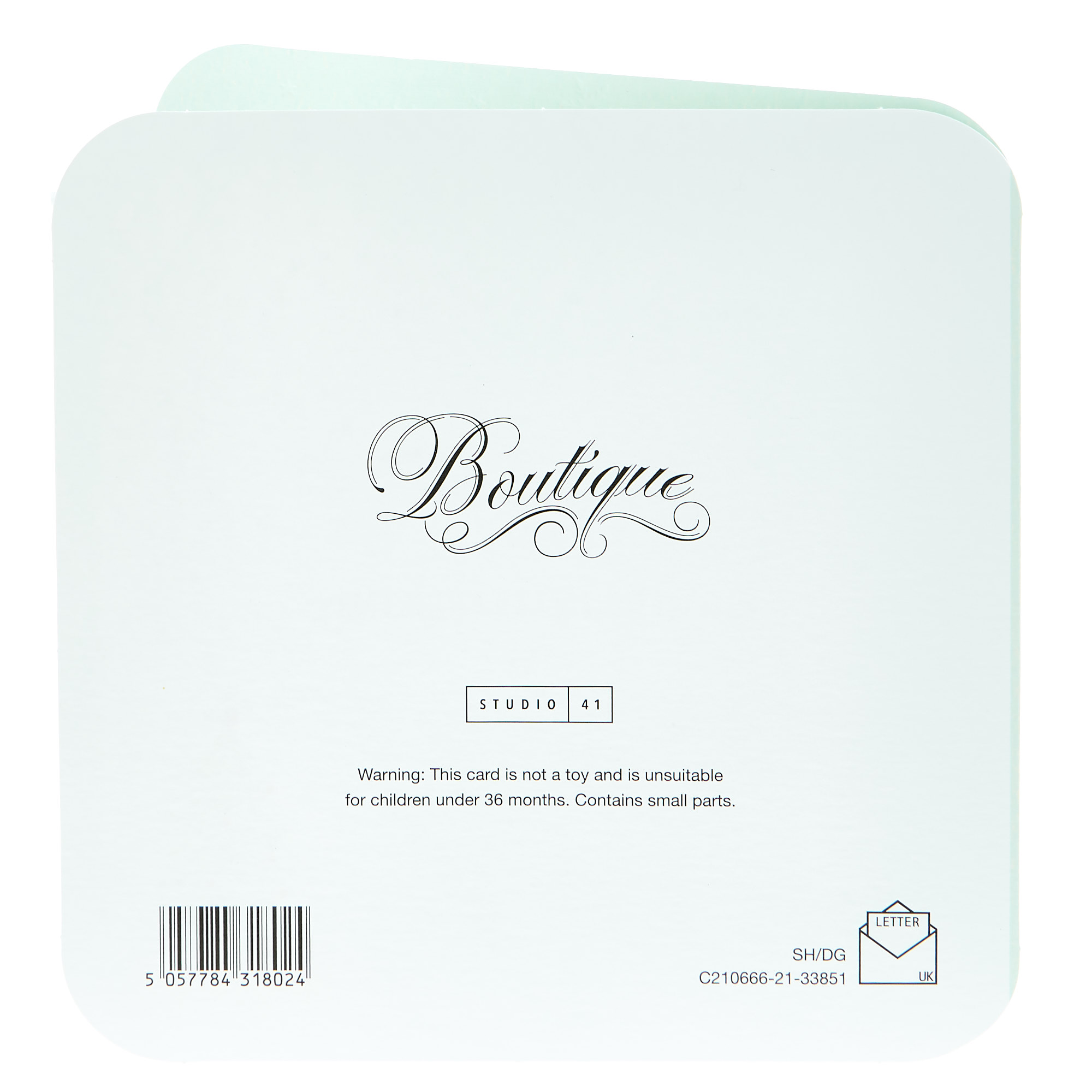 Boutique Christmas Card - Nephew Snow Globe