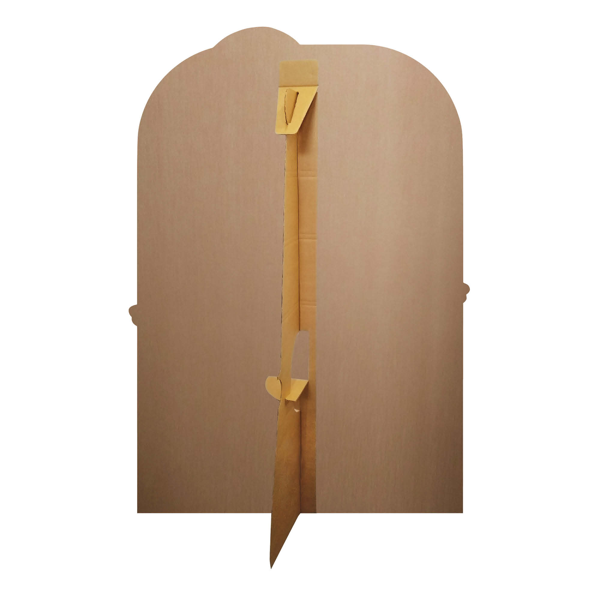 Bluey & Bingo Party Time Medium Backdrop Cardboard Cutout