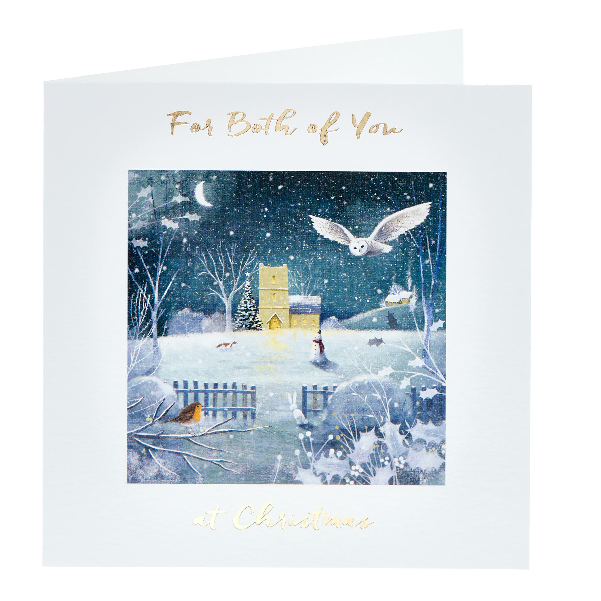 For Both Of You Blank Christmas Card