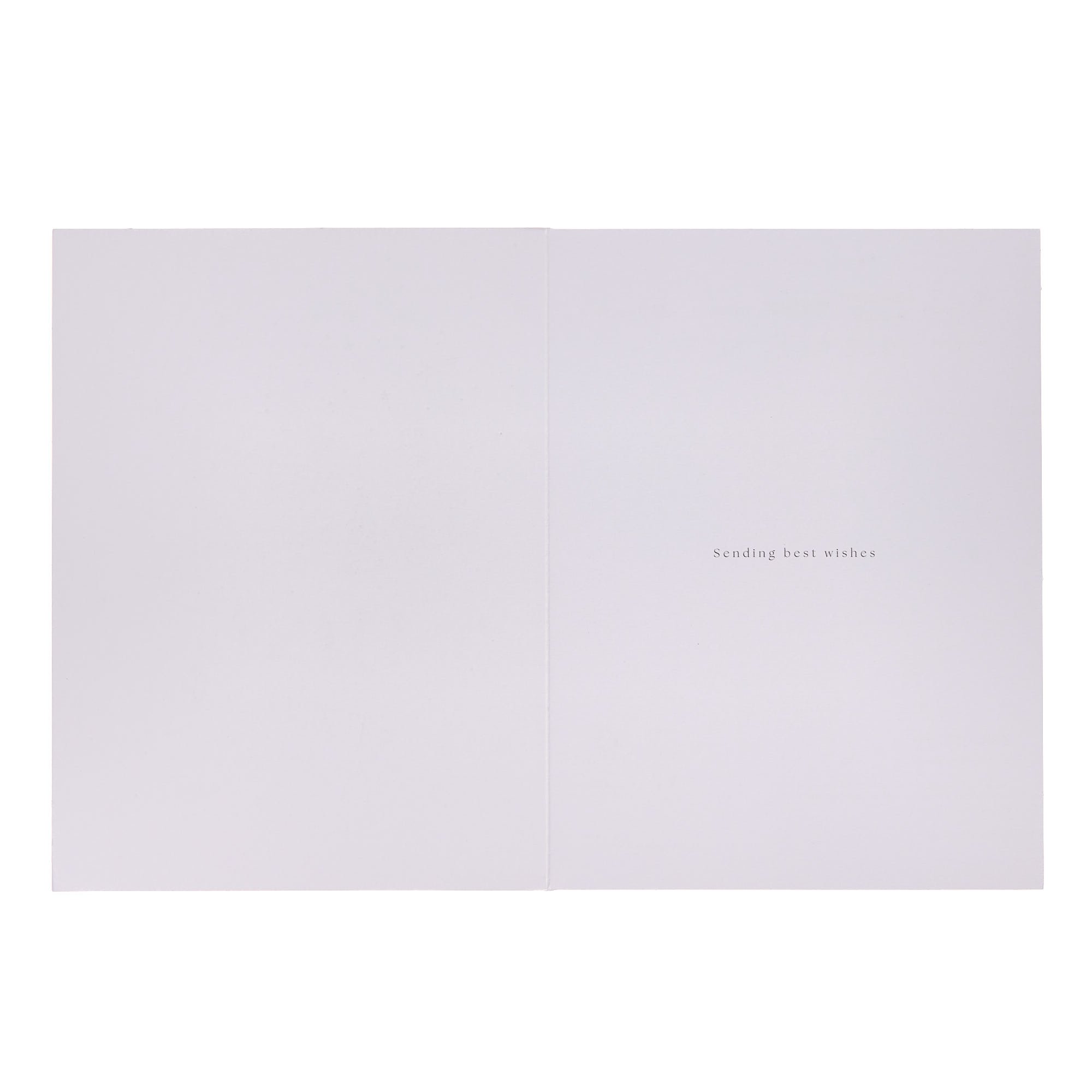 Deluxe Skating Scene Charity Christmas Cards - Pack of 10 (2 Designs)