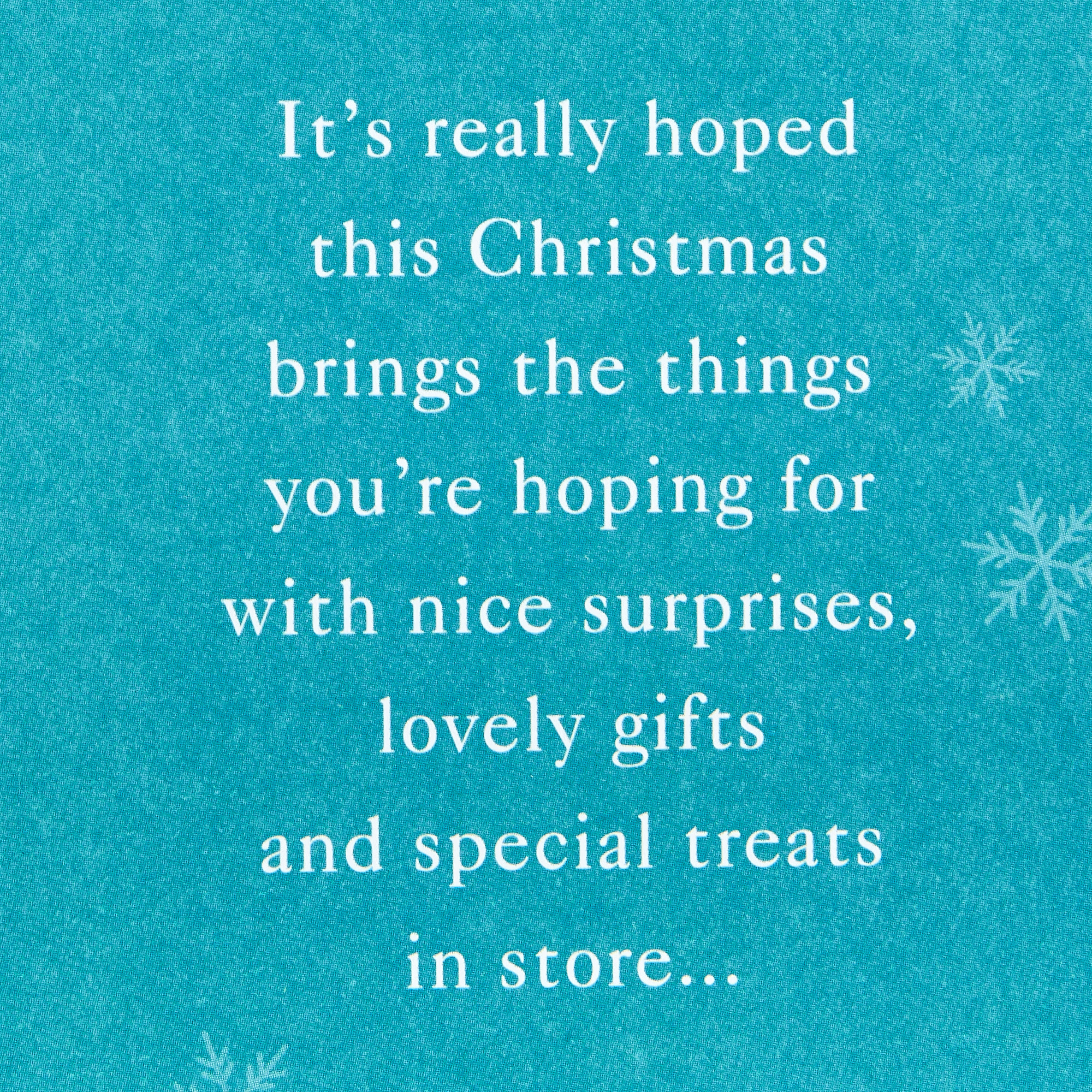 Christmas Card - Granddaughter Sleigh