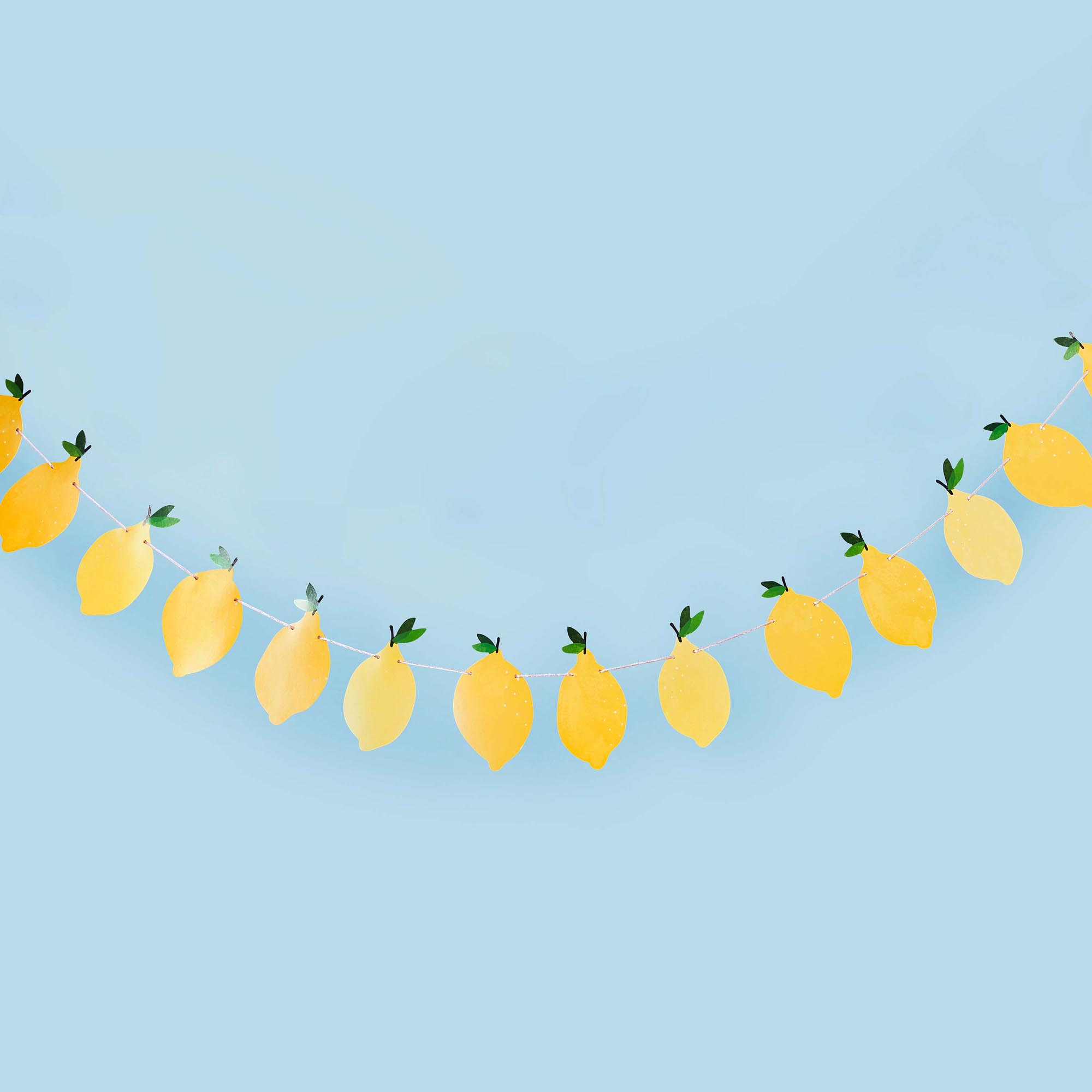 Lemon Card Garland