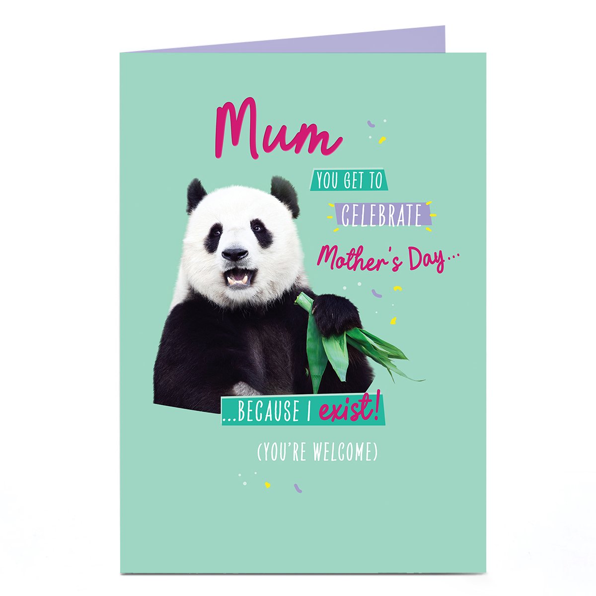 Mother's Day Card - Panda You're Welcome, Mum