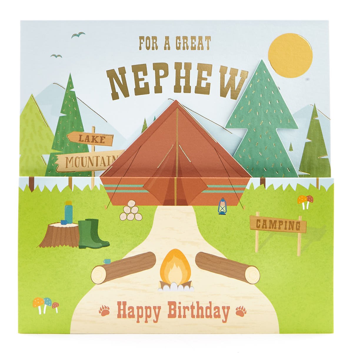 VIP Collection Birthday Card - Nephew Camping Pop-Up