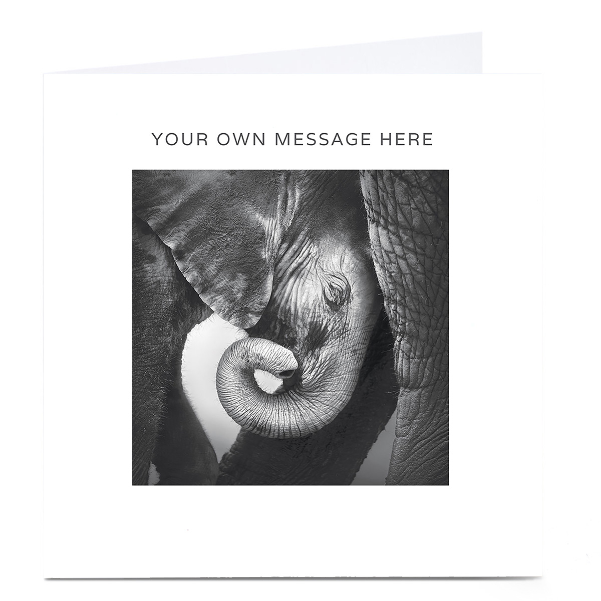 Personalised Card - Black And White Elephant