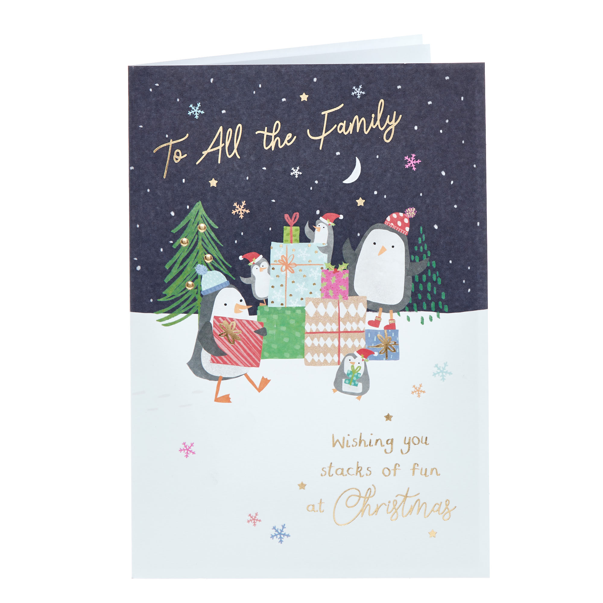 To All The Family Stacks Of Fun Christmas Card