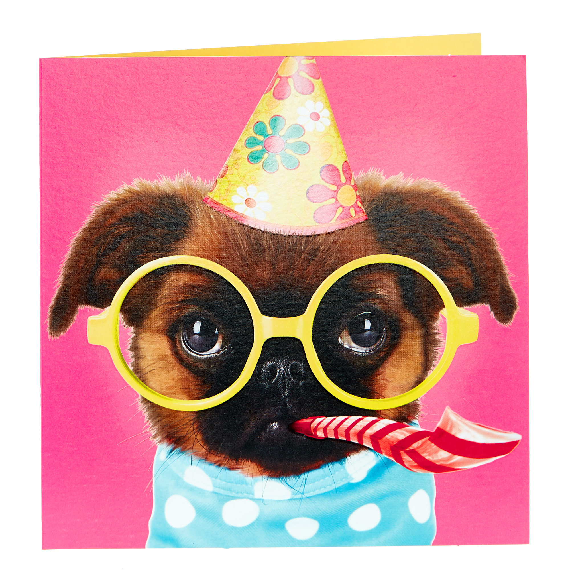 Birthday Card - Party Pooch