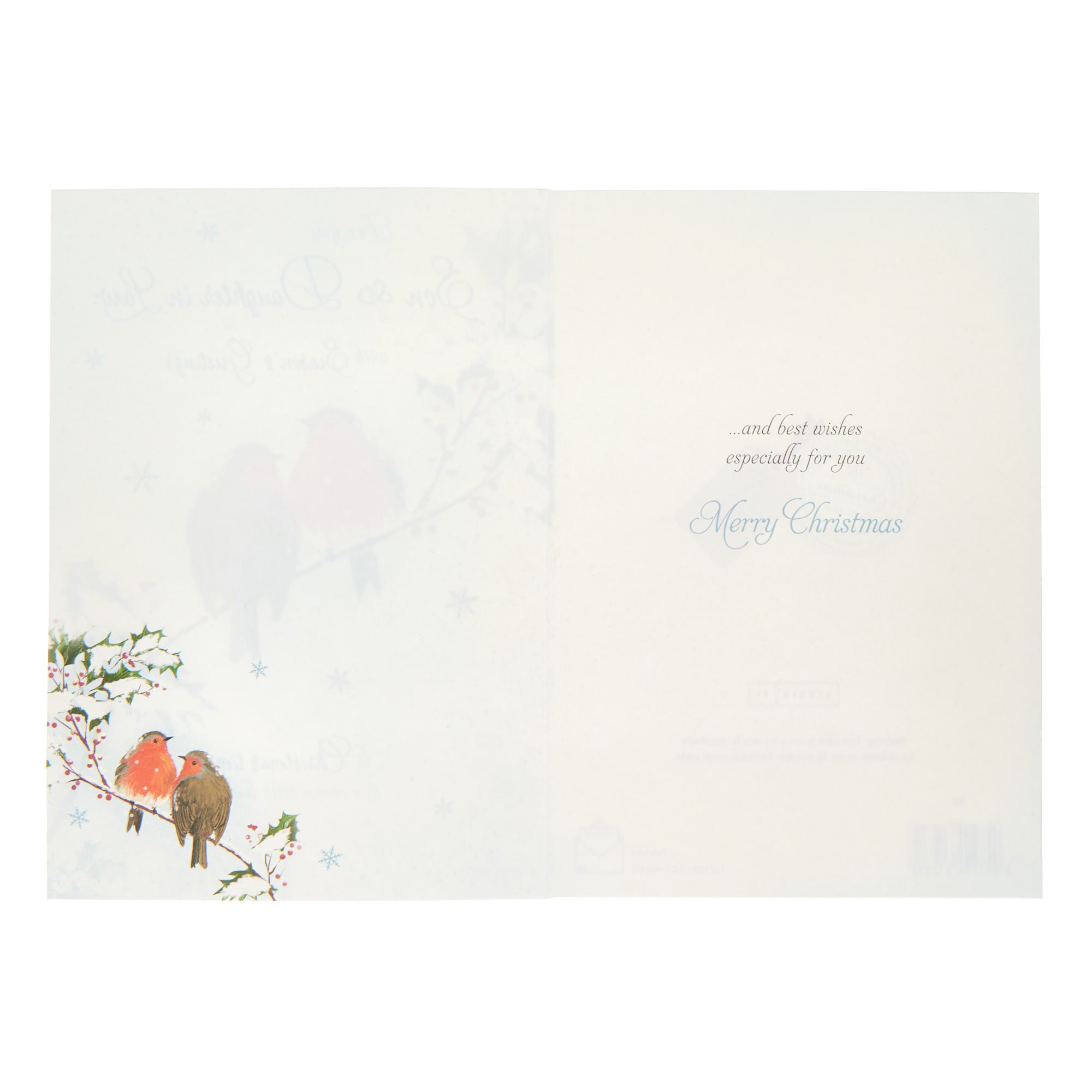 Son & Daughter In Law Two Robins Christmas Card