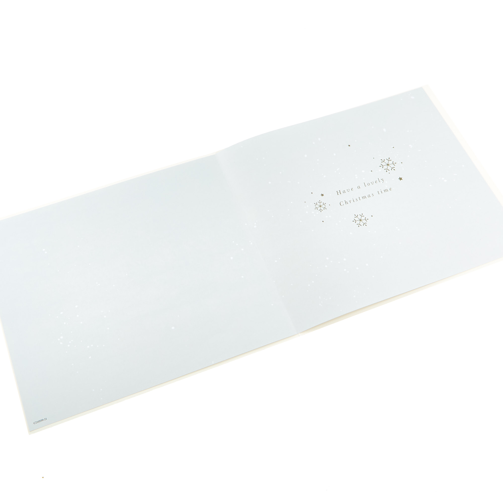 12 Deluxe Charity Boxed Christmas Cards - Winter Wonderland (2 Designs)