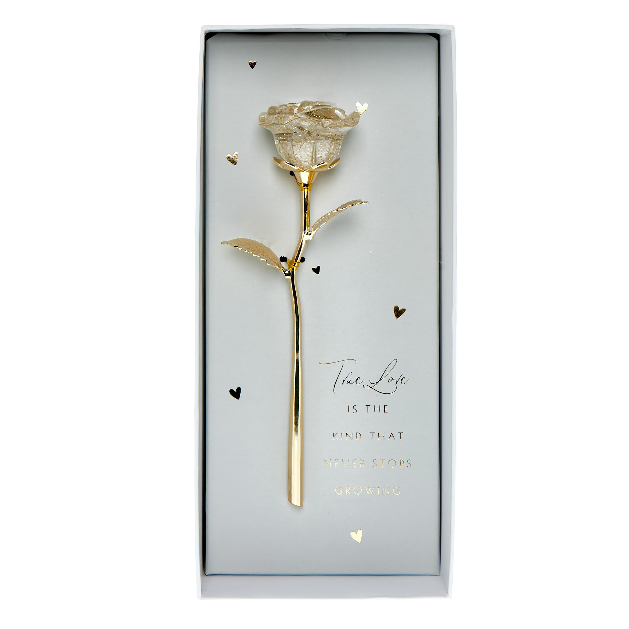 True Love Never Stops Growing Ornamental Rose