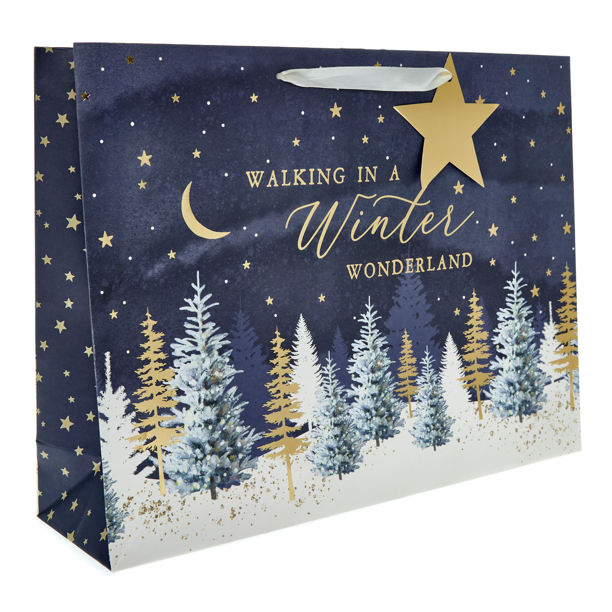 Winter Wonderland Extra Large Landscape Gift Bag