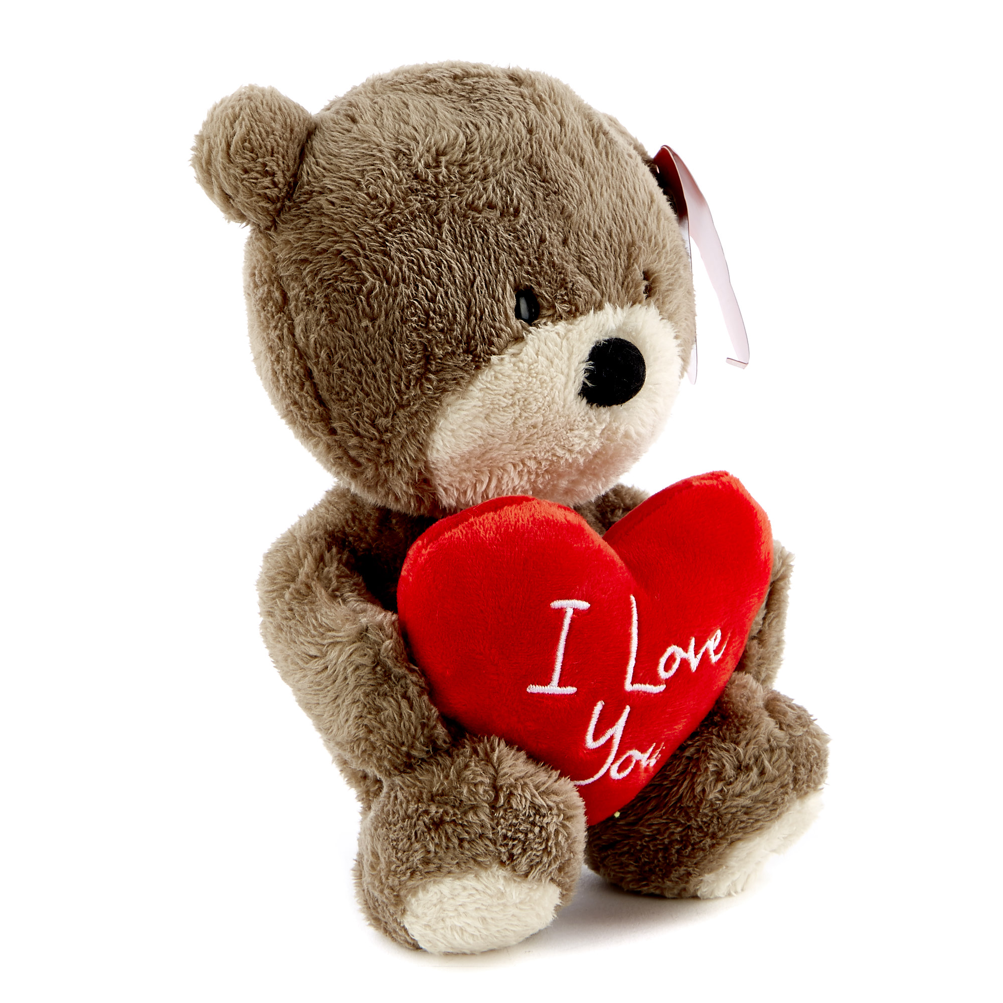 Hugs Bear Valentine's Day Soft Toy - I Love You