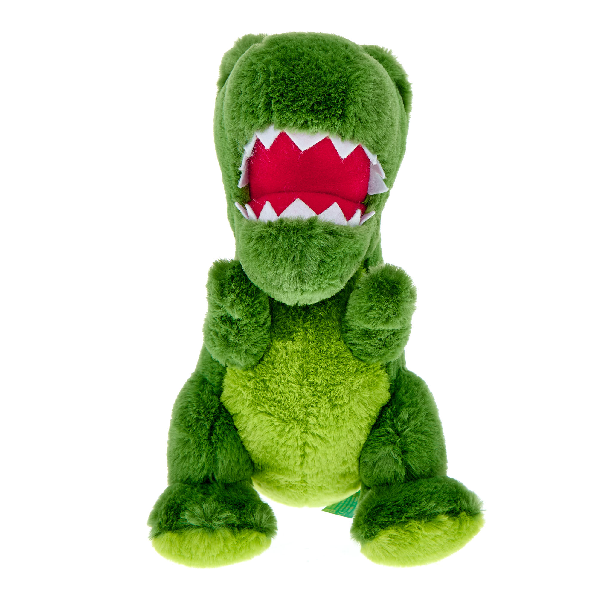 Medium Green Dinosaur Soft Toy