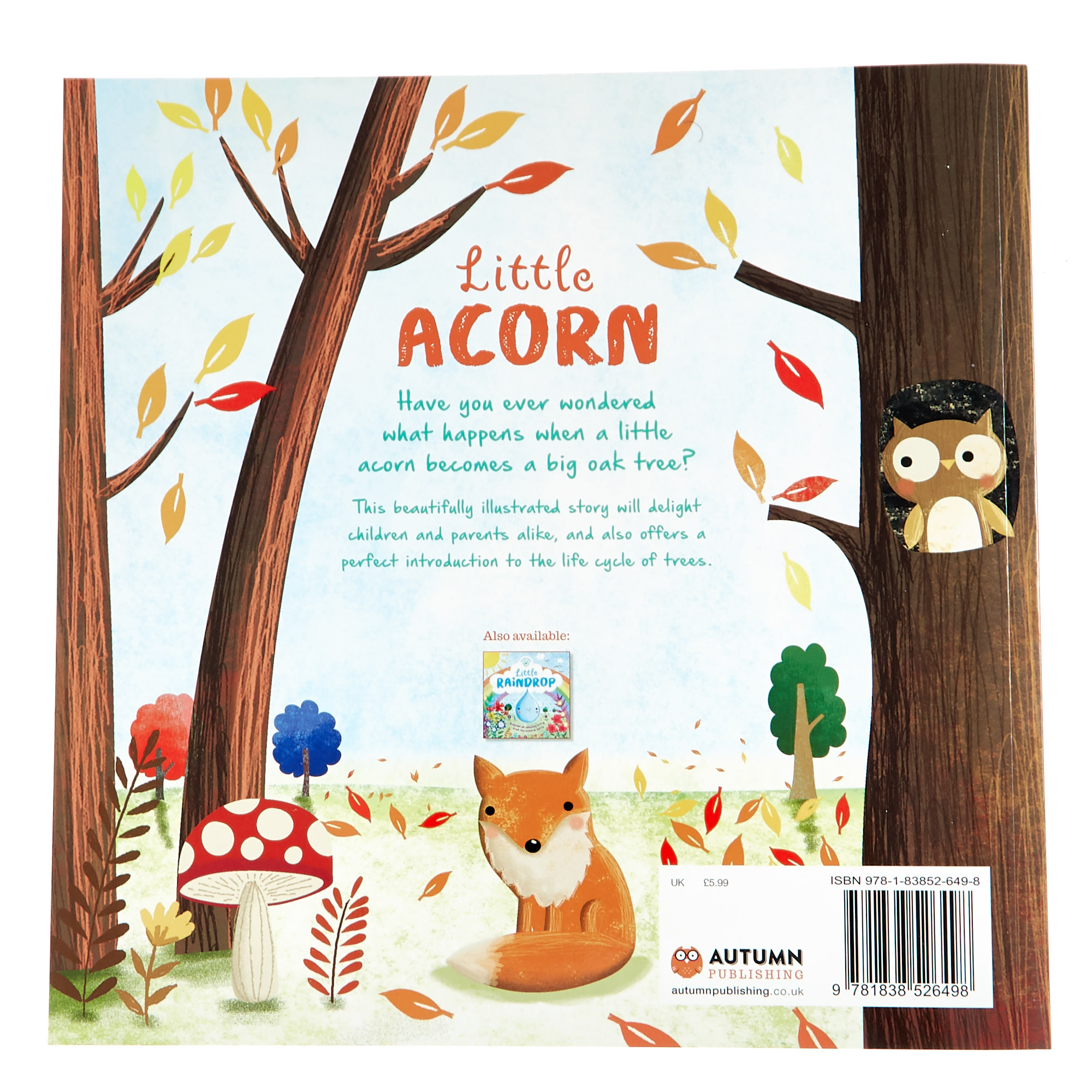 Nature Stories: Little Acorn Storybook