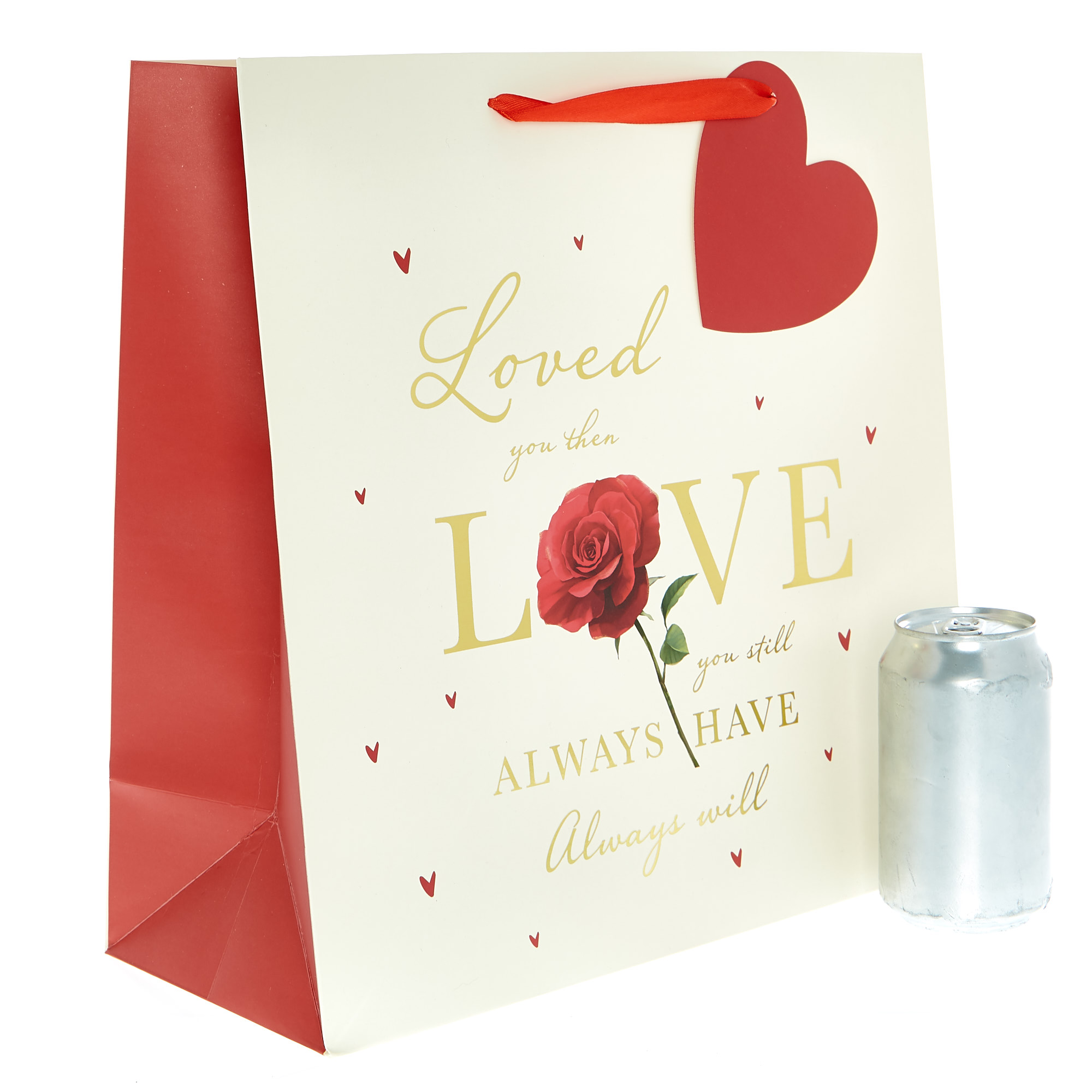 Large Square Valentine's Day Gift Bag - Always Have Always Will 