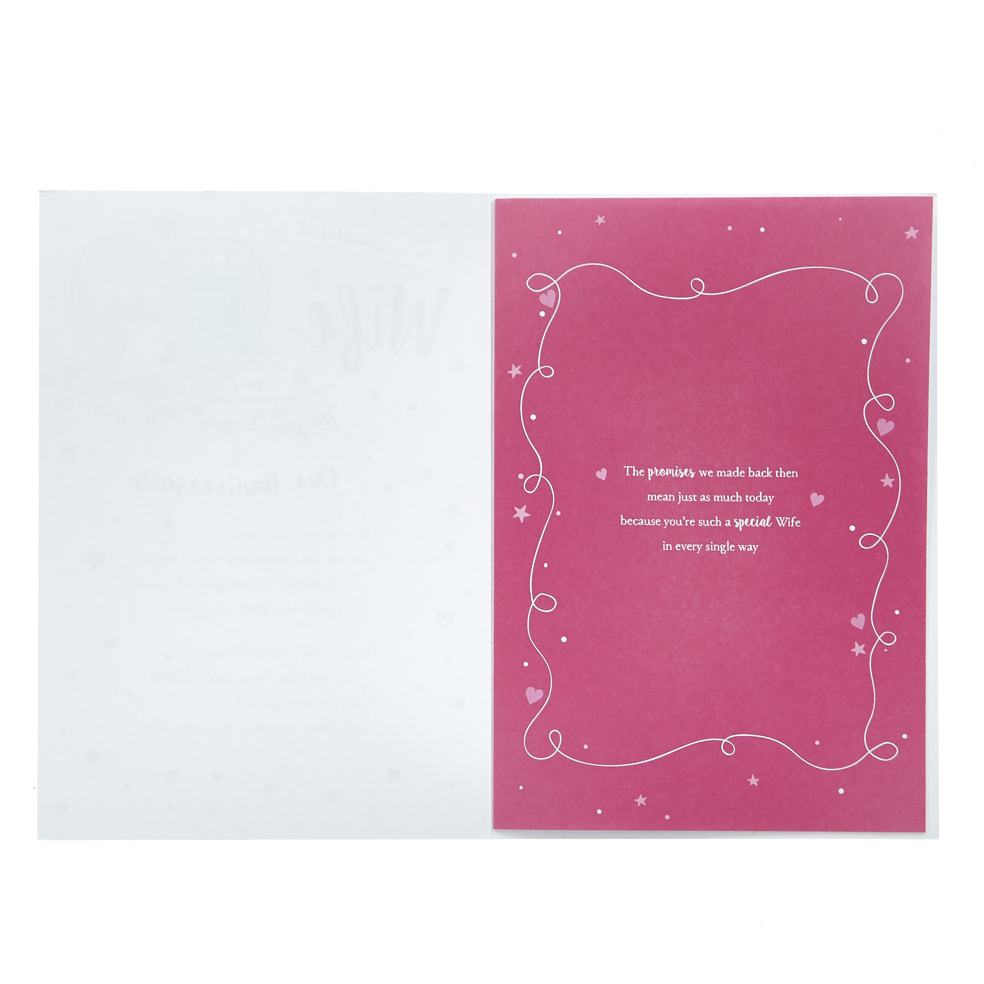 Anniversary Card - Wonderful Wife, Owl Couple
