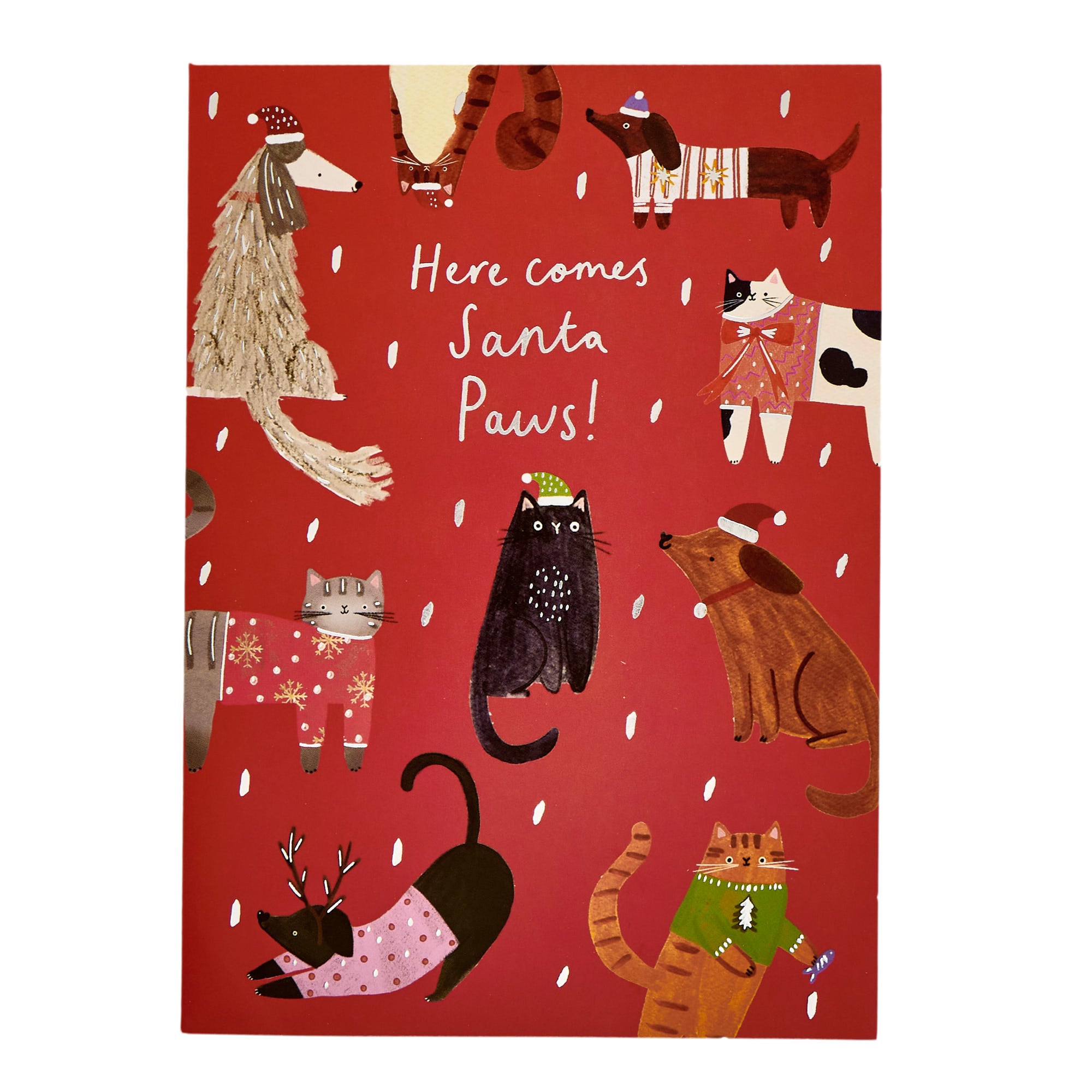 10 Portrait Santa Paws Charity Christmas Cards