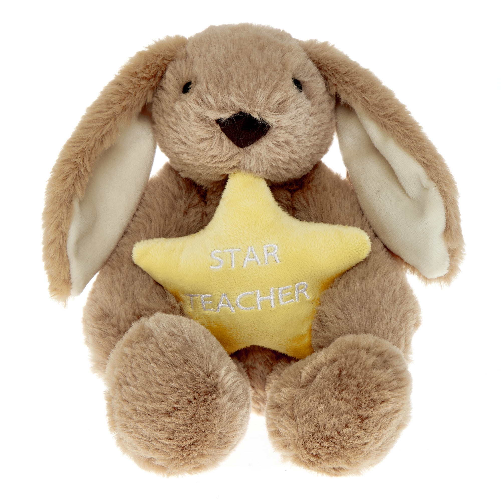 Small Star Teacher Bunny Soft Toy