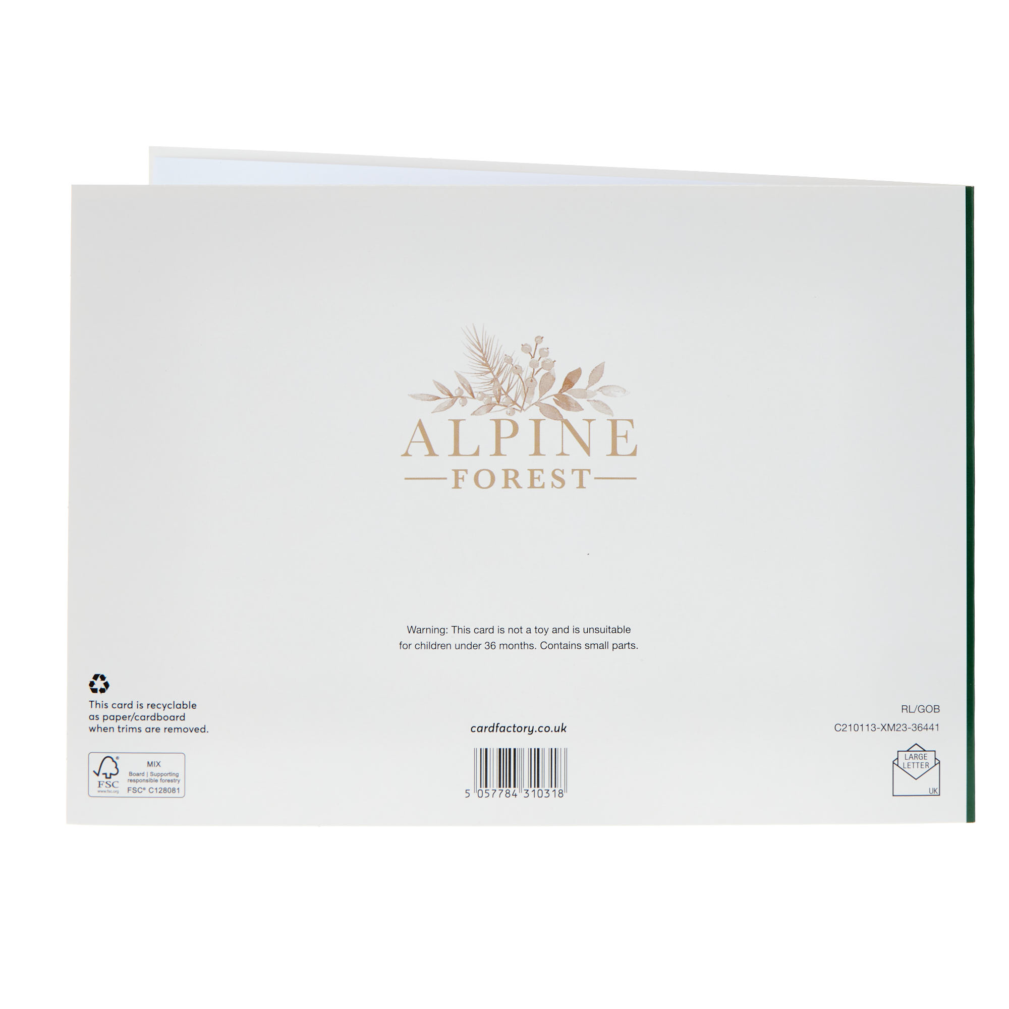 To Both Classic Green Foliage Christmas Card