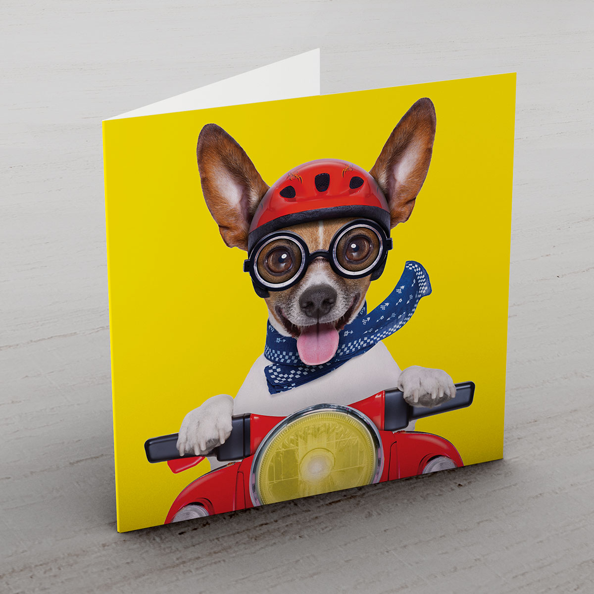 Personalised Card - Motorbike Dog