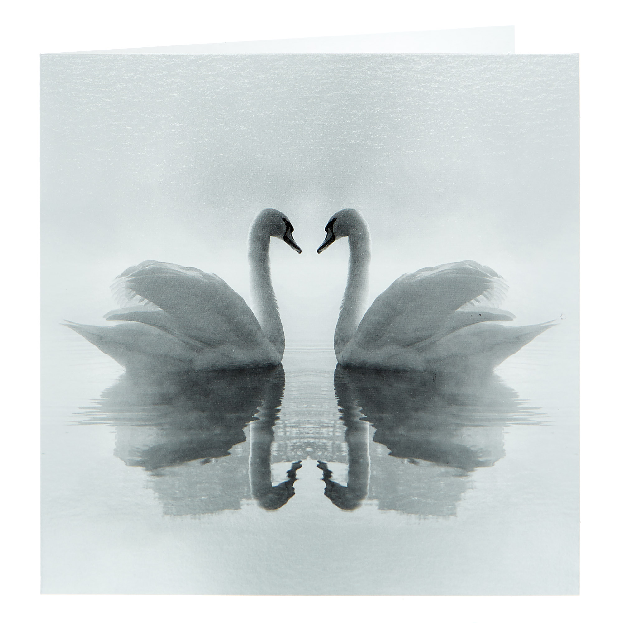 Any Occasion Card - Black & White Swans