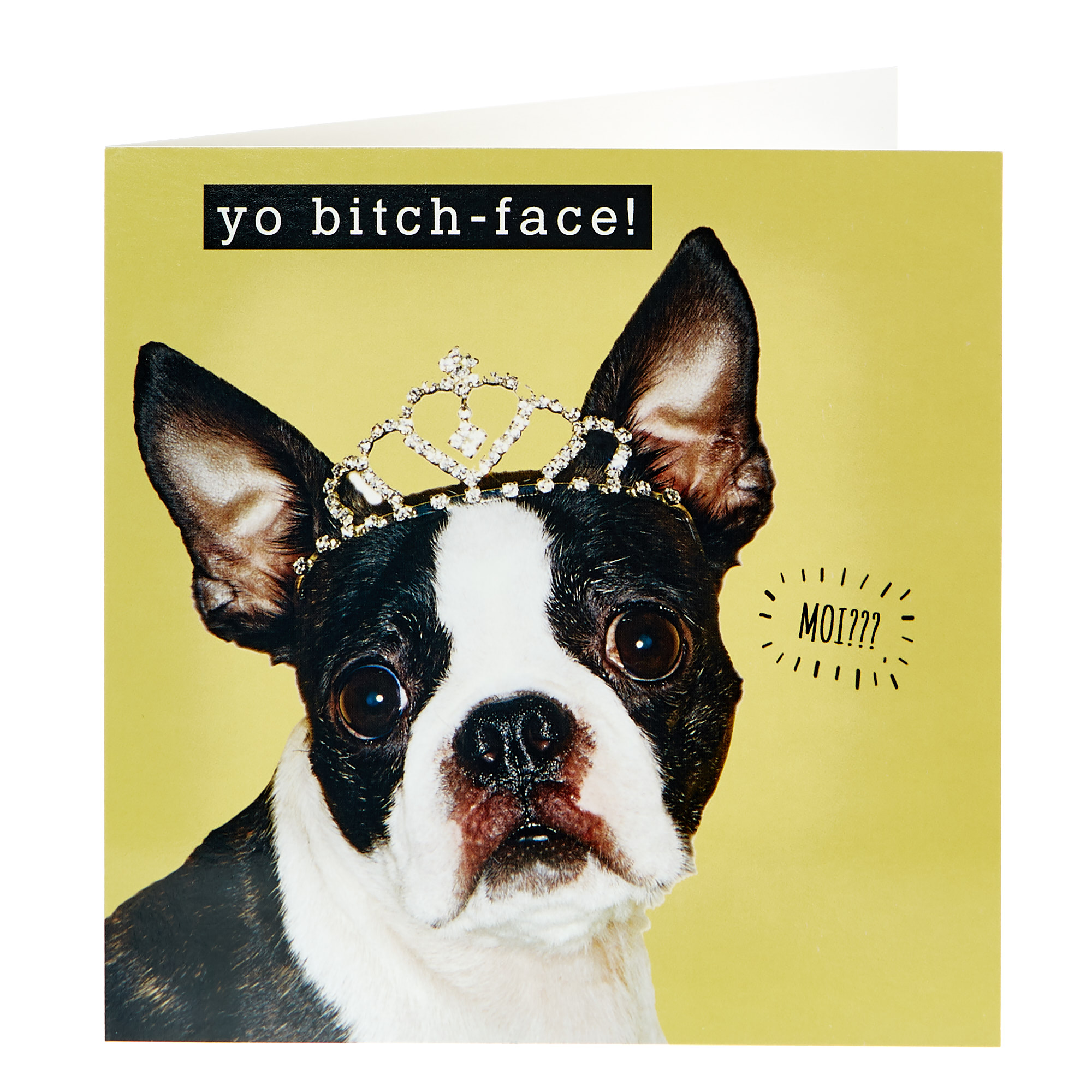 Any Occasion Card - Yo Bitch-Face!