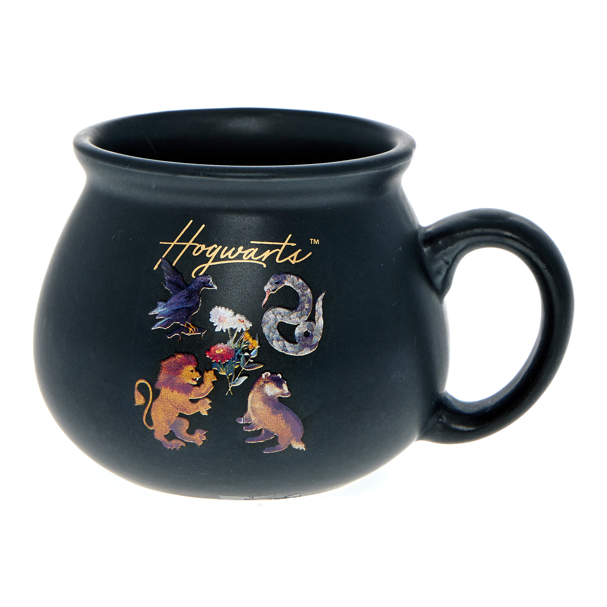 Harry Potter Mug & Chocolate Flavour Cake Mix with Sugar Strands